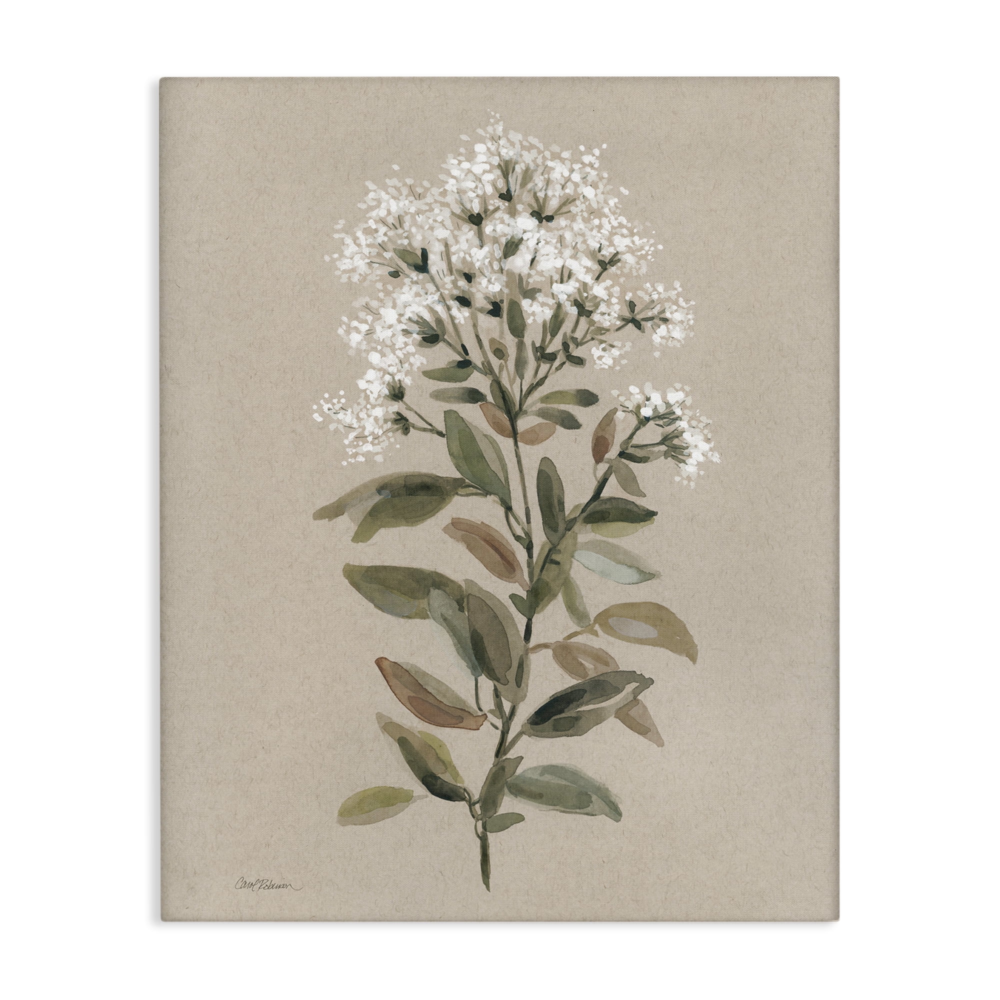 Stupell Industries Blooming Watercolor Flower Botanical & Floral Painting Gallery Wrapped Canvas Art Print Wall Art, 36 x 48