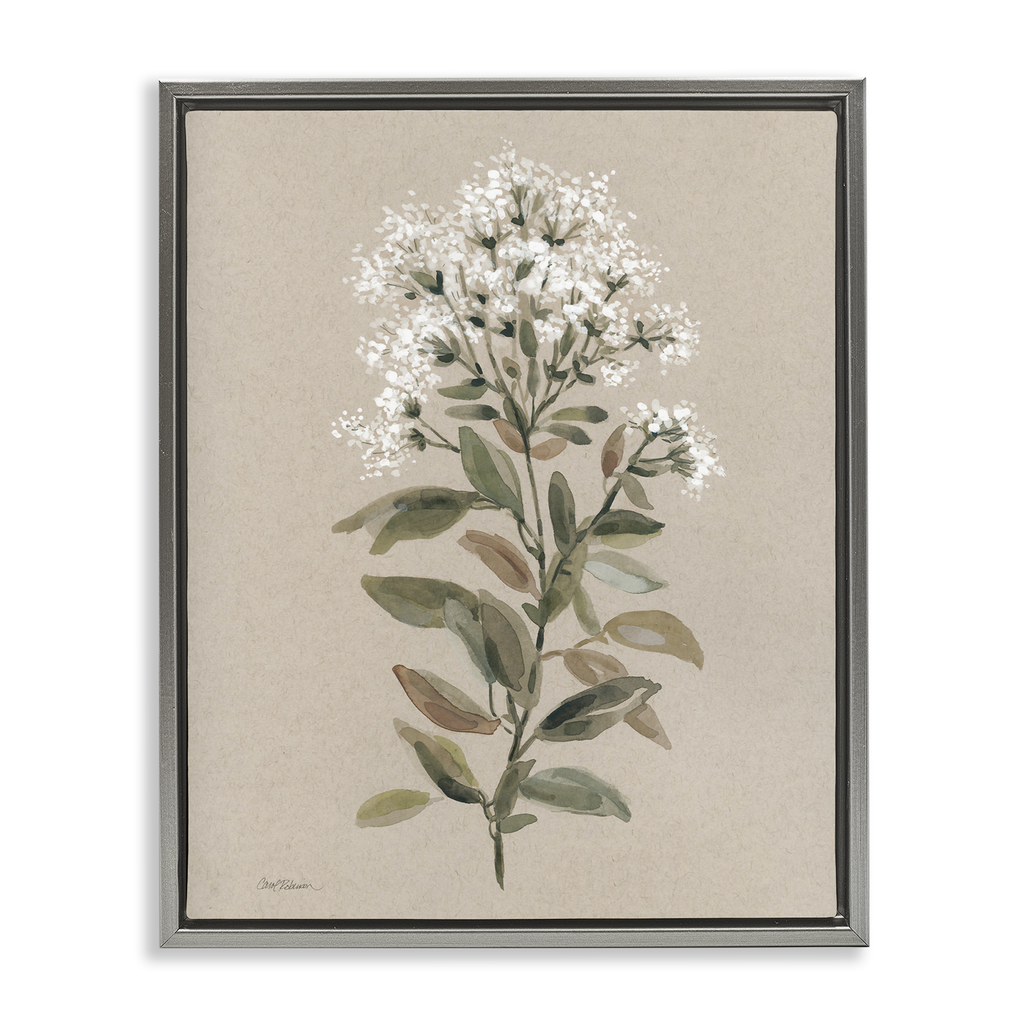 Stupell Industries Blooming Watercolor Flower Botanical & Floral Painting Gray Floater Framed Art Print Wall Art, 25 x 31