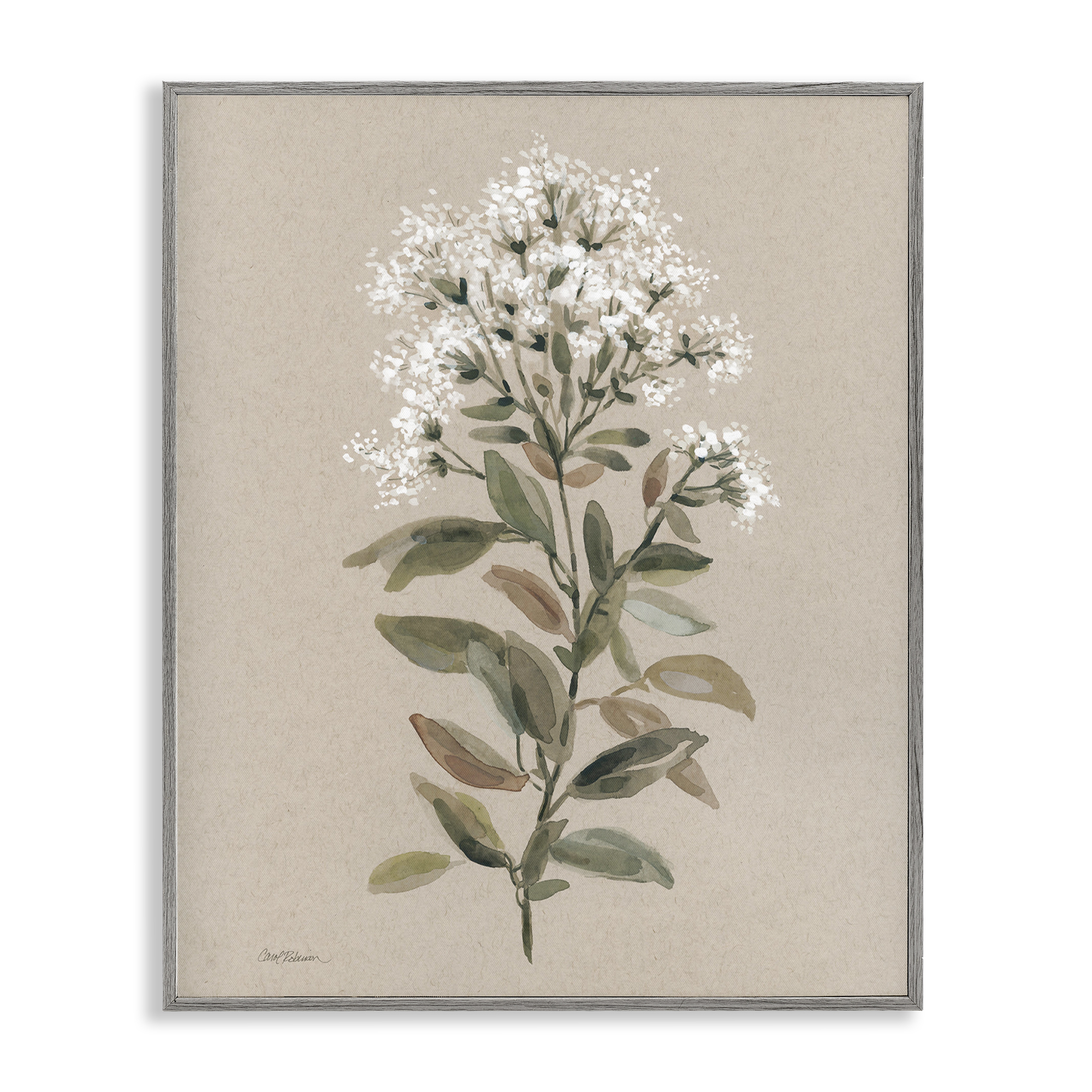 Stupell Industries Blooming Watercolor Flower Botanical & Floral Painting Gray Framed Art Print Wall Art, 16 x 20