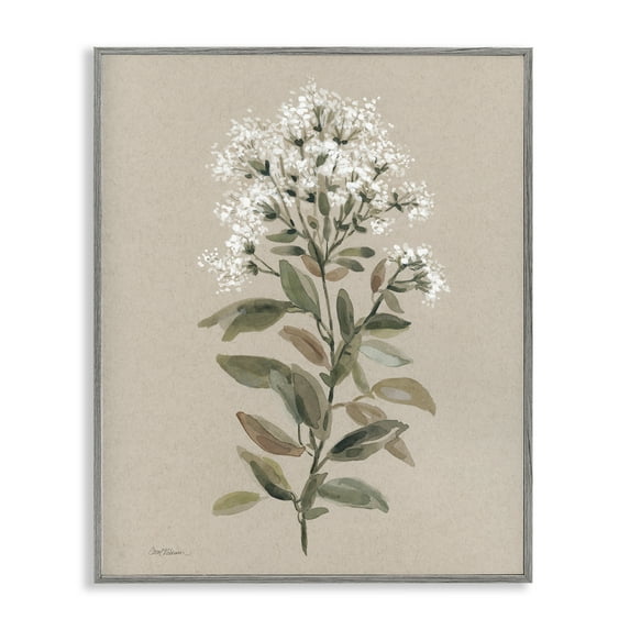 Stupell Industries Blooming Watercolor Flower Botanical & Floral Painting Gray Framed Art Print Wall Art, 24 x 30