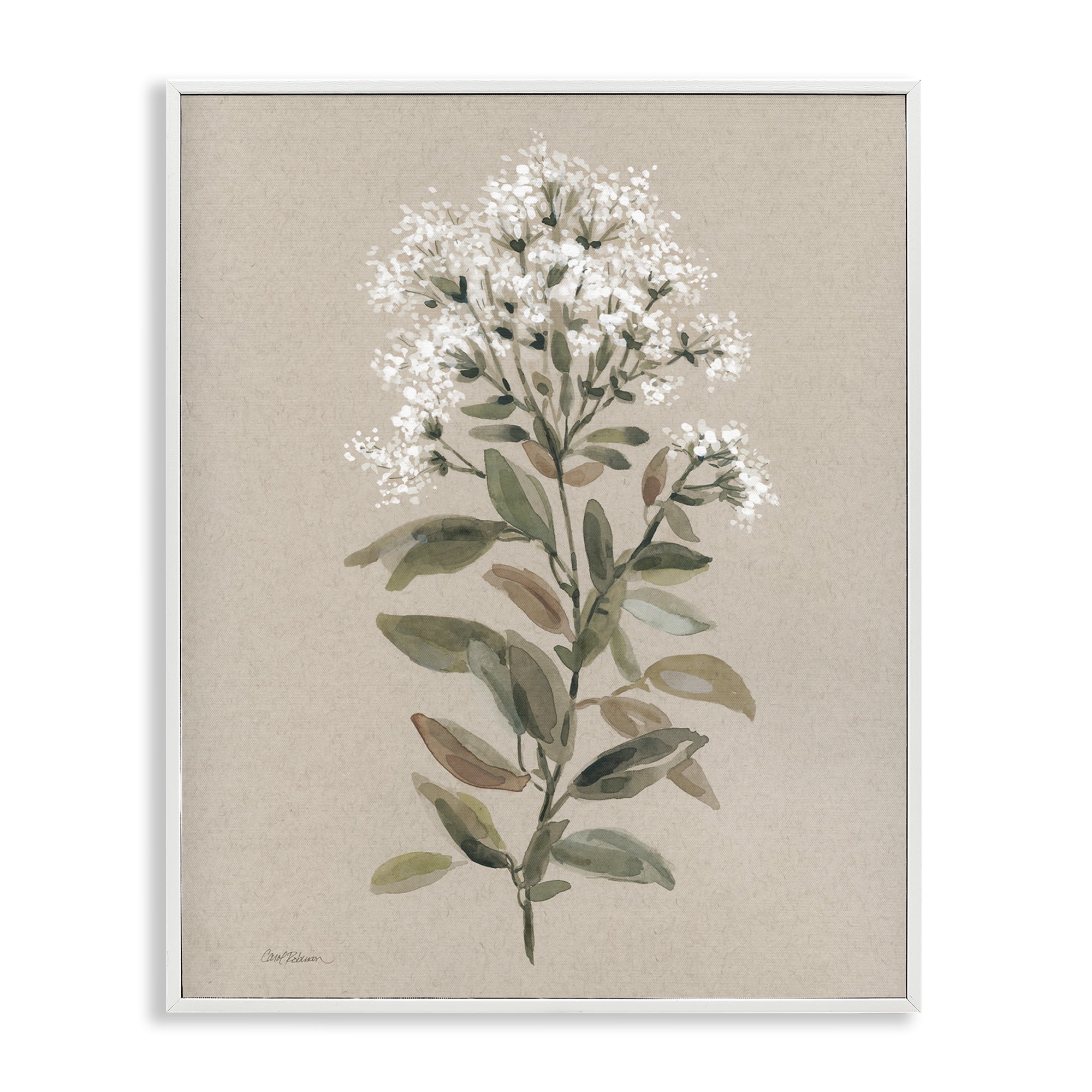 Stupell Industries Blooming Watercolor Flower Botanical & Floral Painting White Framed Art Print Wall Art, 24 x 30
