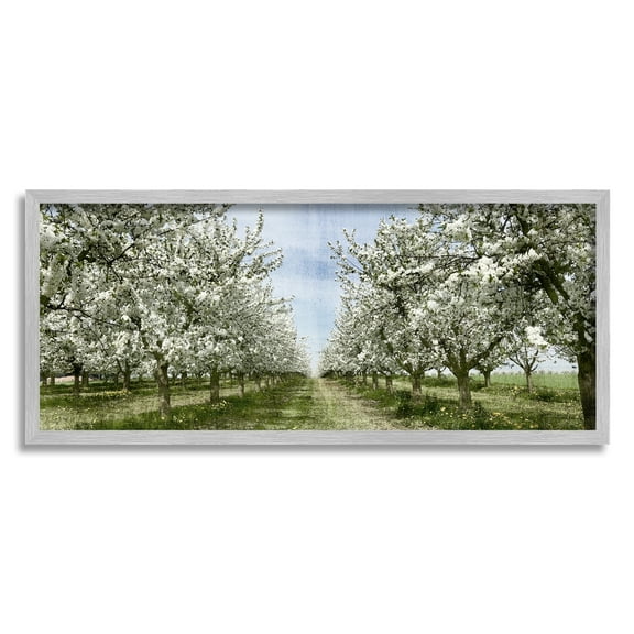 Stupell Industries Blooming White Flower Buds Trees Orchard Meadow Framed Wall Art, 24 x 10, Design by Kim Allen