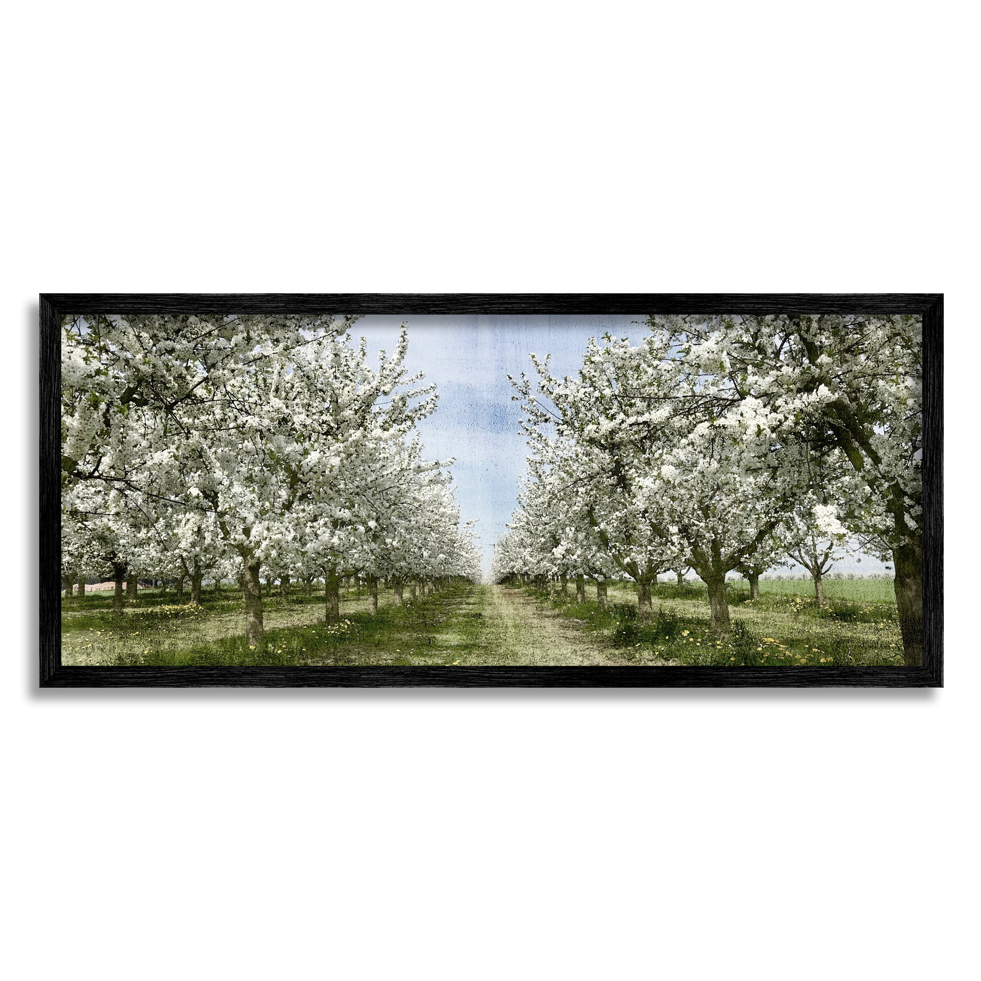 Stupell Industries Blooming White Flower Buds Trees Orchard Meadow Framed Wall Art, 24 x 10, Design by Kim Allen
