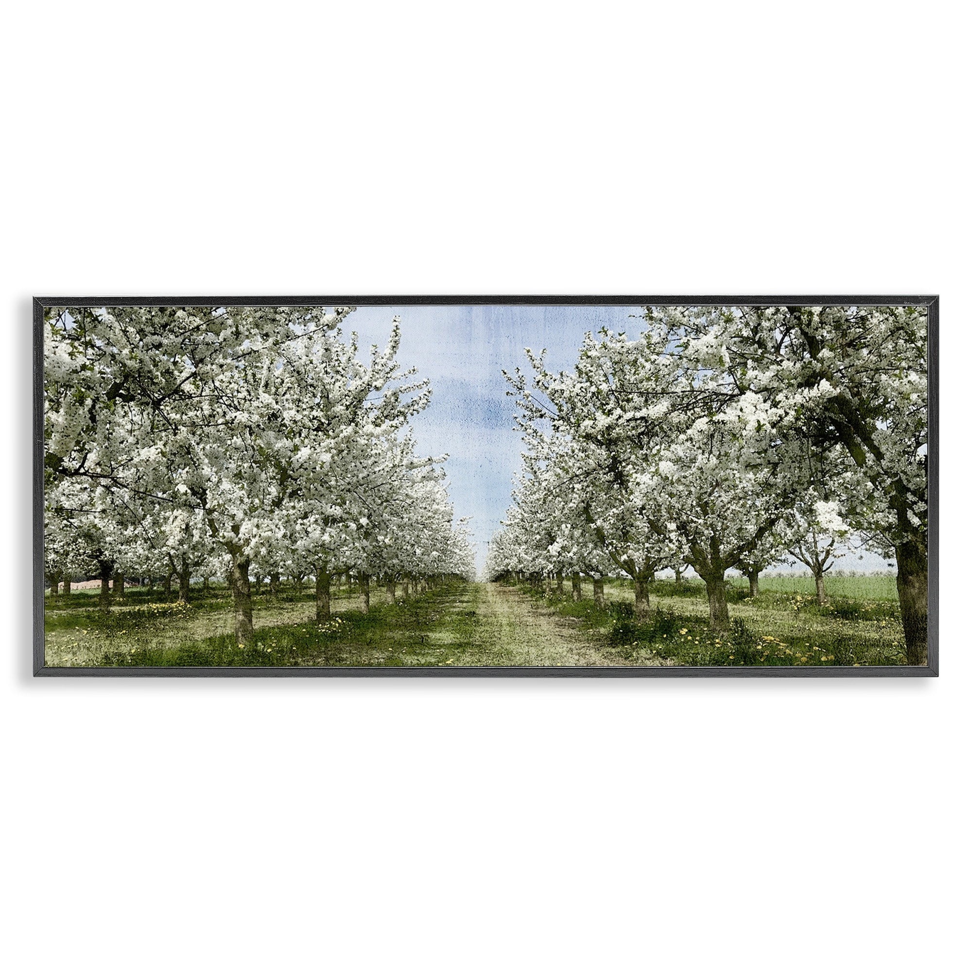 Stupell Industries Blooming White Flower Buds Trees Orchard Meadow Framed Wall Art, 30 x 13, Design by Kim Allen