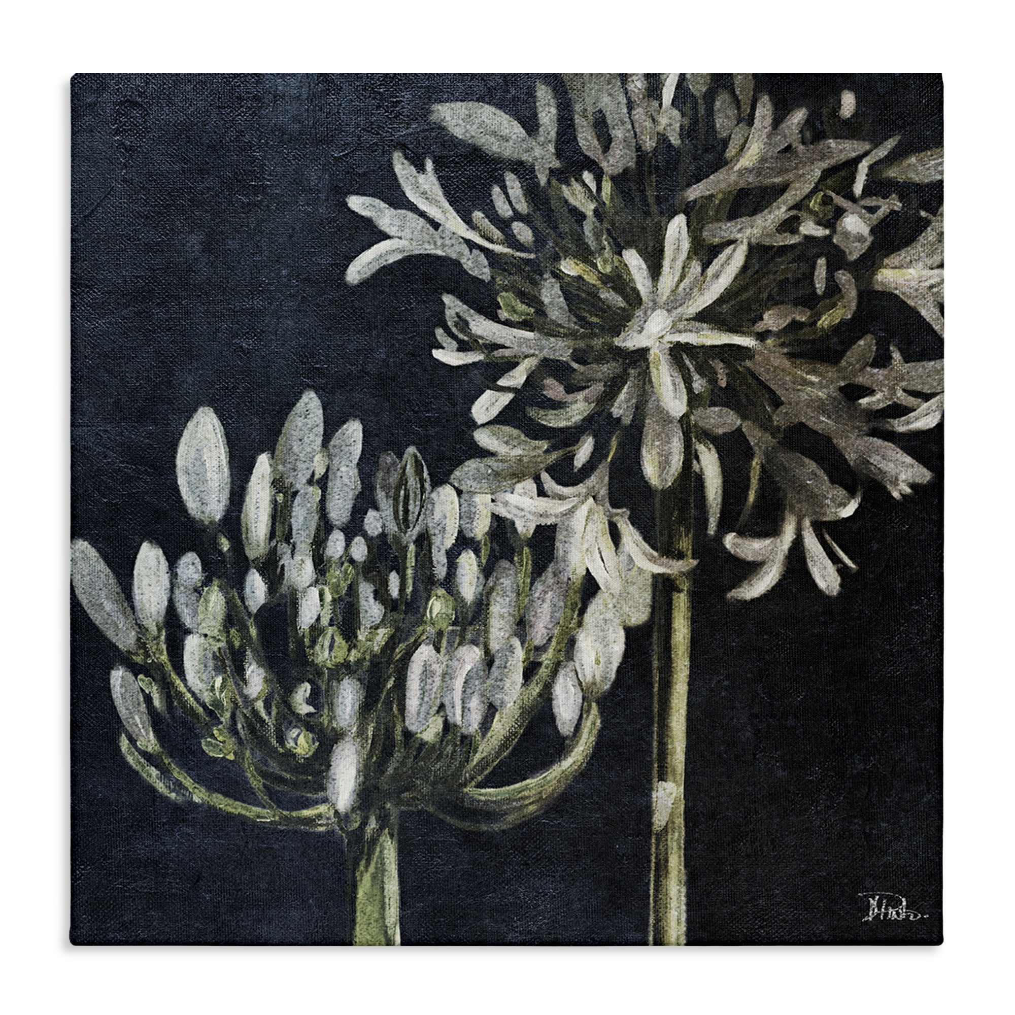 Stupell Industries Blooming White Herbs Botanical & Floral Painting Gallery Wrapped Canvas Art Print Wall Art, 24 x 24