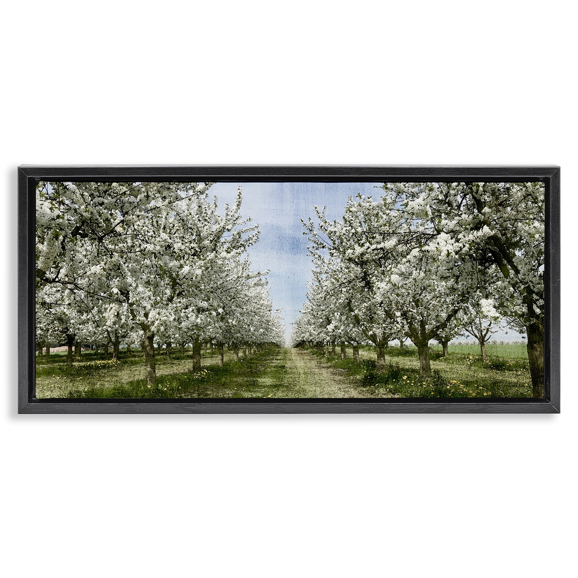 Stupell Industries Blooming White Tree Orchard Landscape Photography Black Floater Framed Canvas Art Print Wall Art, 25 x 11