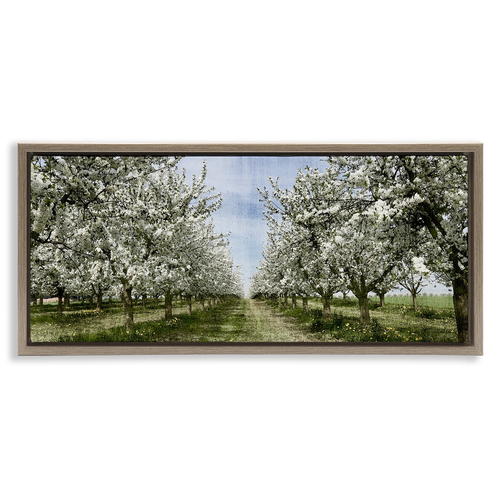 Stupell Industries Blooming White Tree Orchard Landscape Photography Brown Floater Framed Canvas Art Print Wall Art, 25 x 11