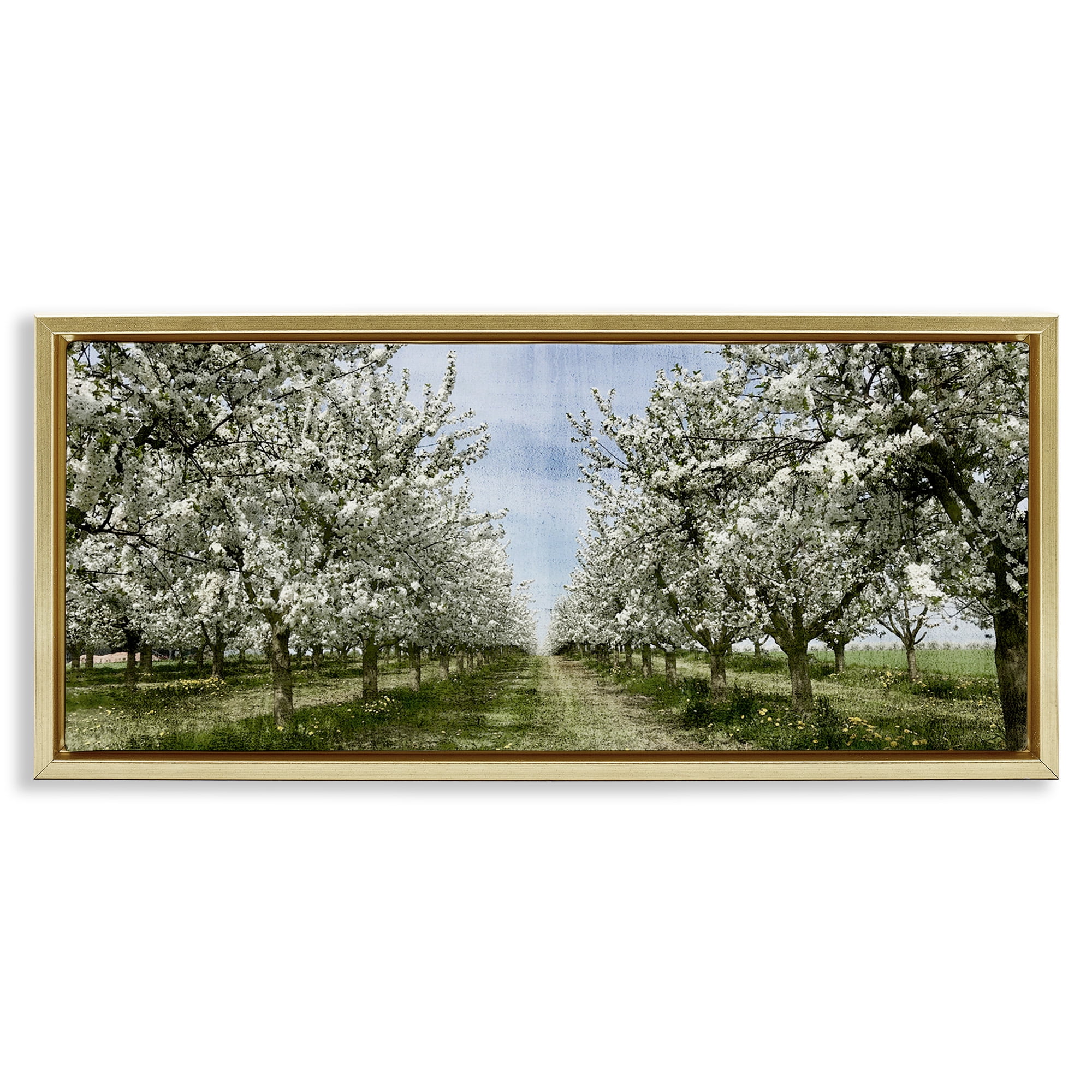 Stupell Industries Blooming White Tree Orchard Landscape Photography Gold Floater Framed Canvas Art Print Wall Art, 31 x 14