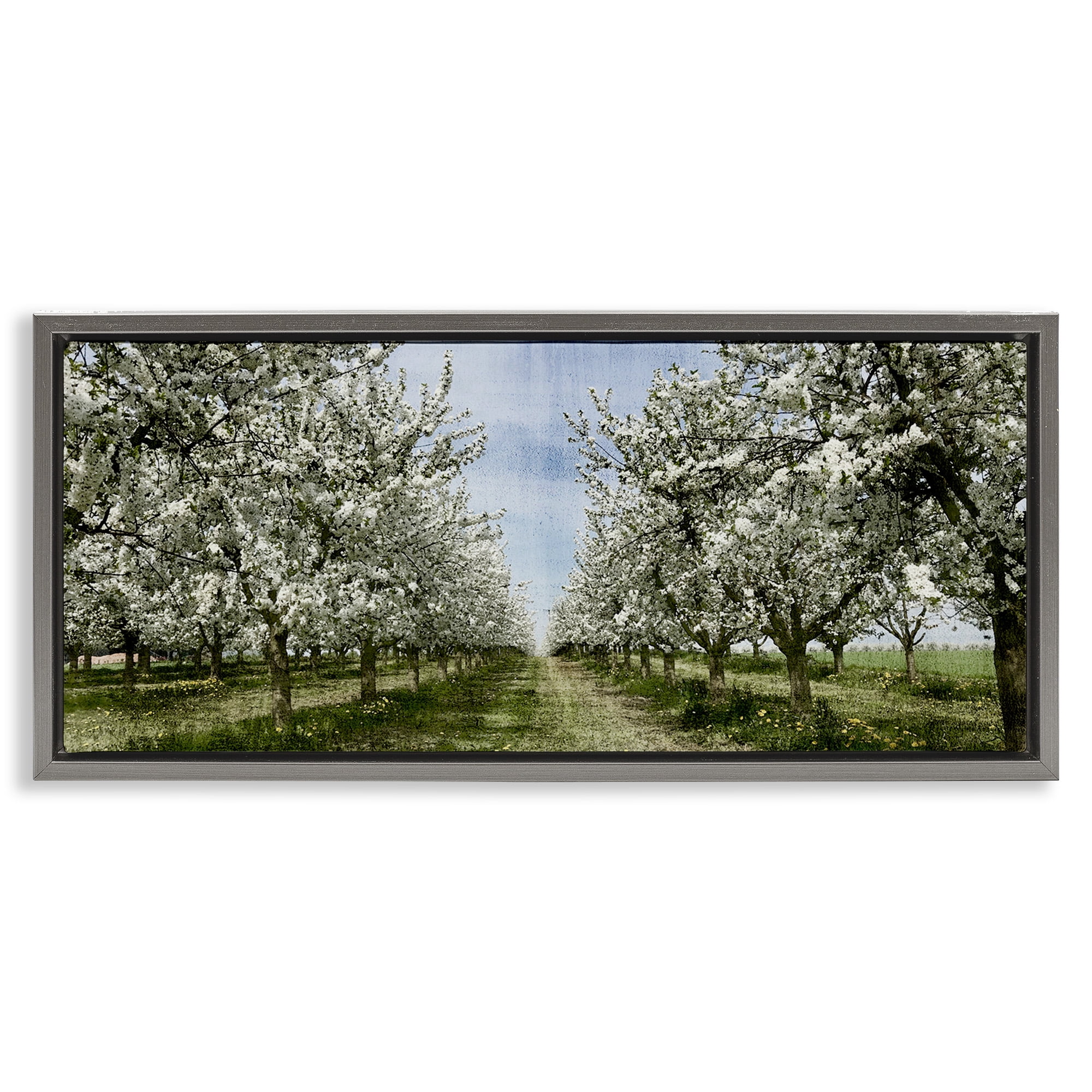 Stupell Industries Blooming White Tree Orchard Landscape Photography Gray Floater Framed Canvas Art Print Wall Art, 31 x 14