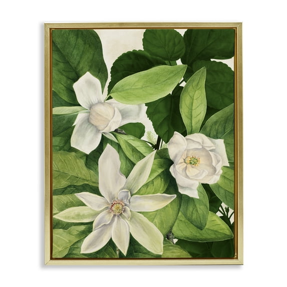 Stupell Industries Blooming White Tropical Flowers Floral Painting Gold Floater Framed Canvas Art Print Wall Art, 17 x 21