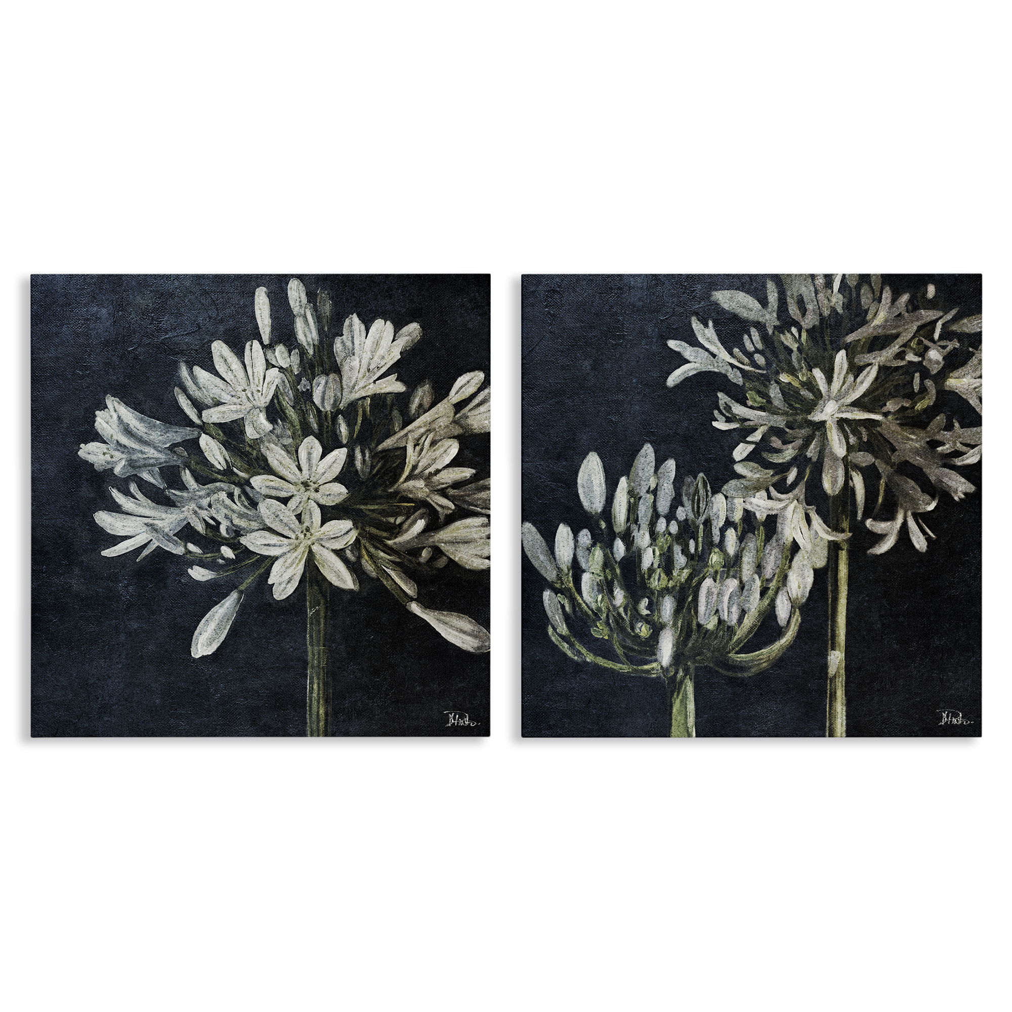 Stupell Industries Blossoming Flower Stem Plants & Flowers Painting Wrapped Canvas Art Print Wall Art, 24 x 24, Set of 2