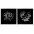 thumbnail image 1 of Stupell Industries Blossoms with Water Droplets Animals Painting Black Framed Art Print Wall Art, 24 x 24, Set of 2, 1 of 2