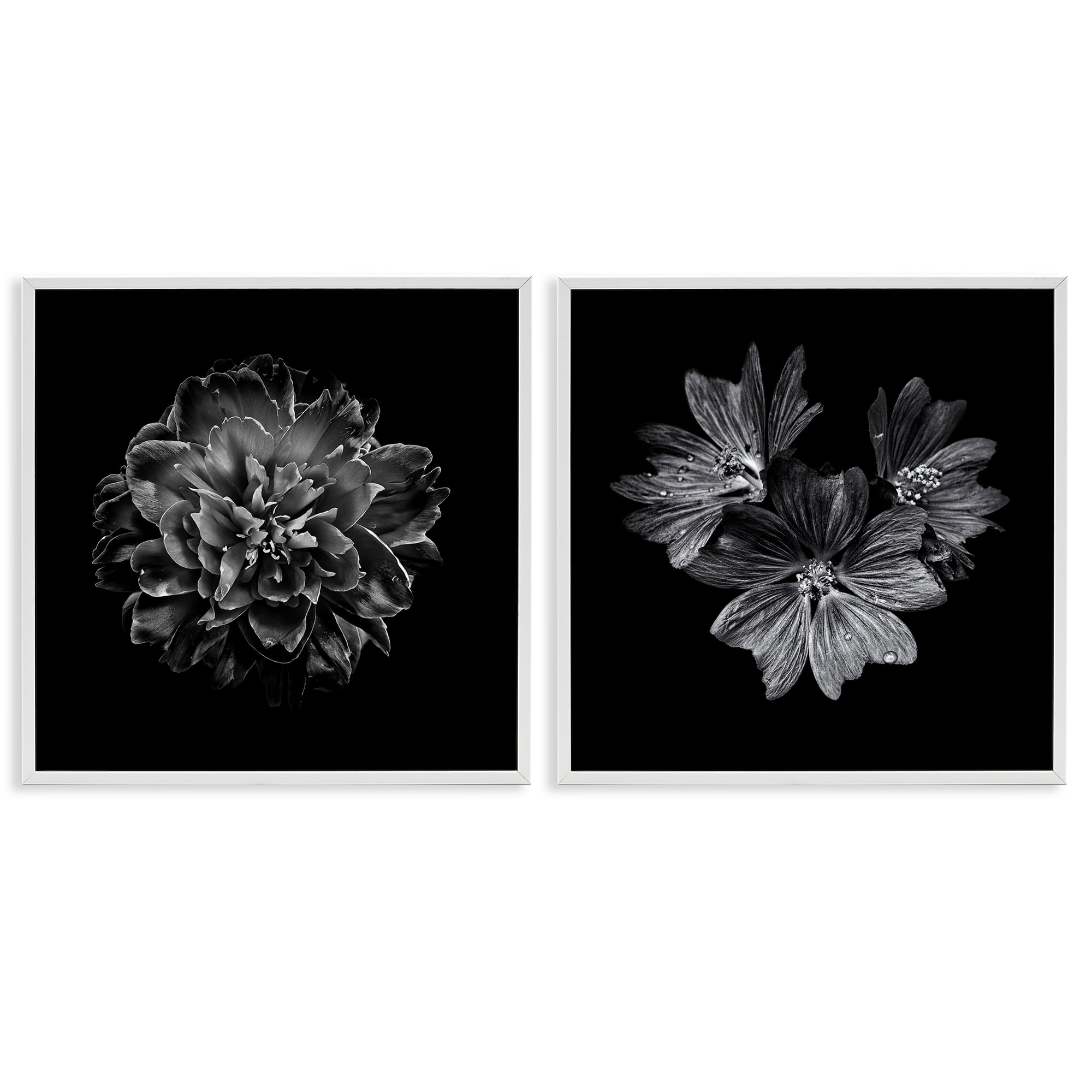 Stupell Industries Blossoms with Water Droplets Animals Painting White Framed Art Print Wall Art, 17 x 17, Set of 2