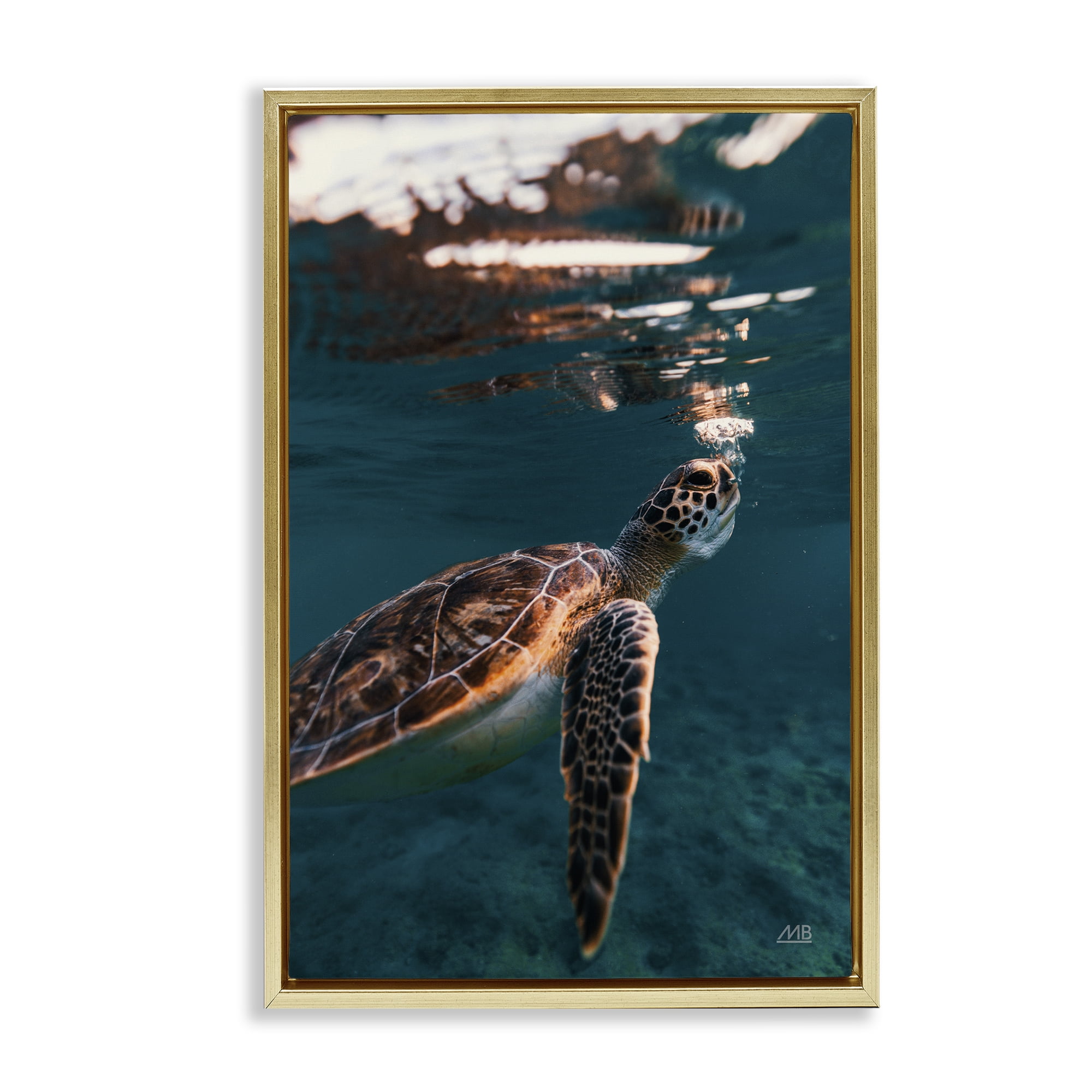 Stupell Industries Blowing Bubbles Turtle Animals Photography Gold Floater Framed Canvas Art Print Wall Art, 17 x 25