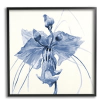 Stupell Industries Blue Abstract Orchid Botanical & Floral Painting Black Framed Art Print Wall Art, 12 x 12