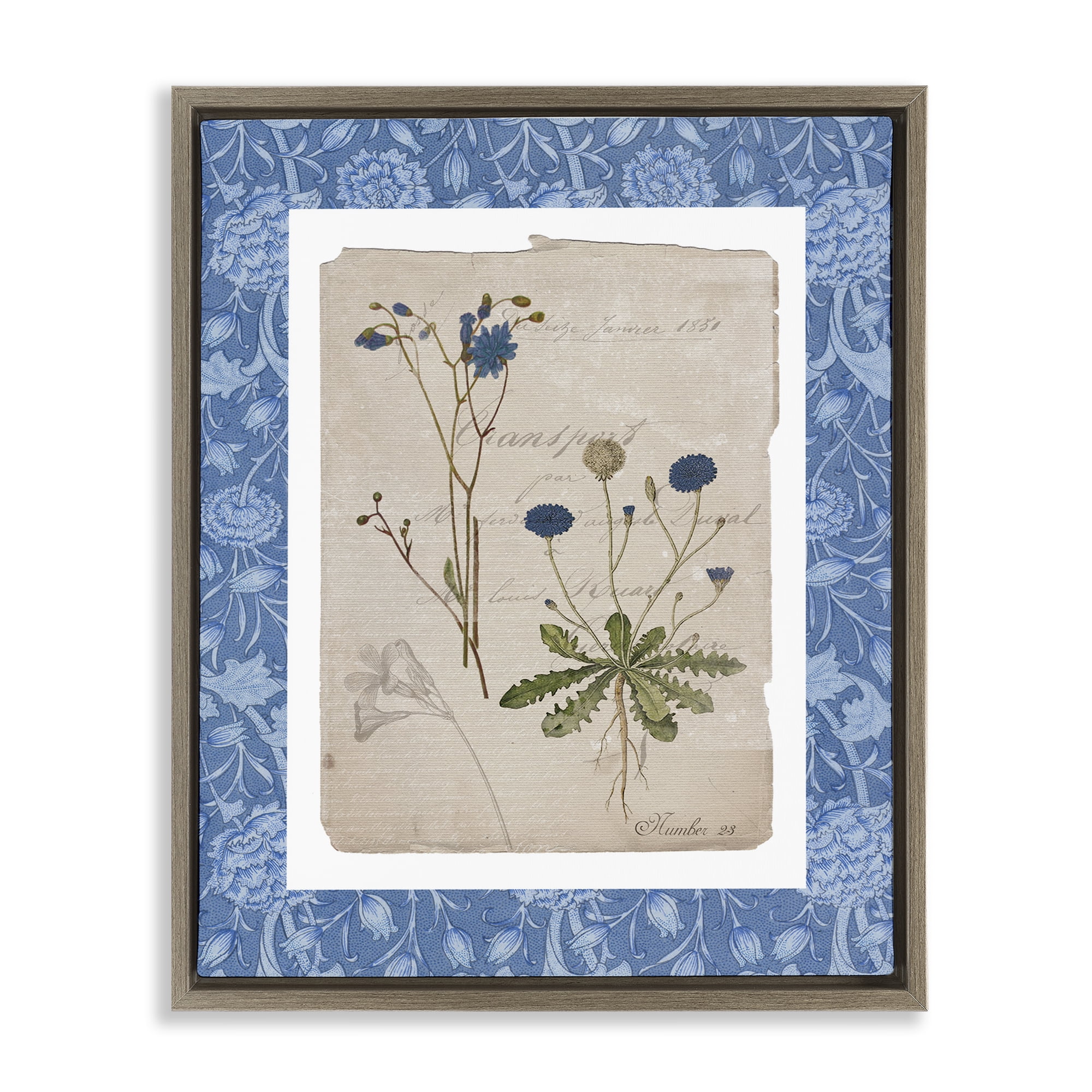 Stupell Industries Blue Antique Herbs Brown Framed Floater Canvas Wall Art, design by Livi Finn