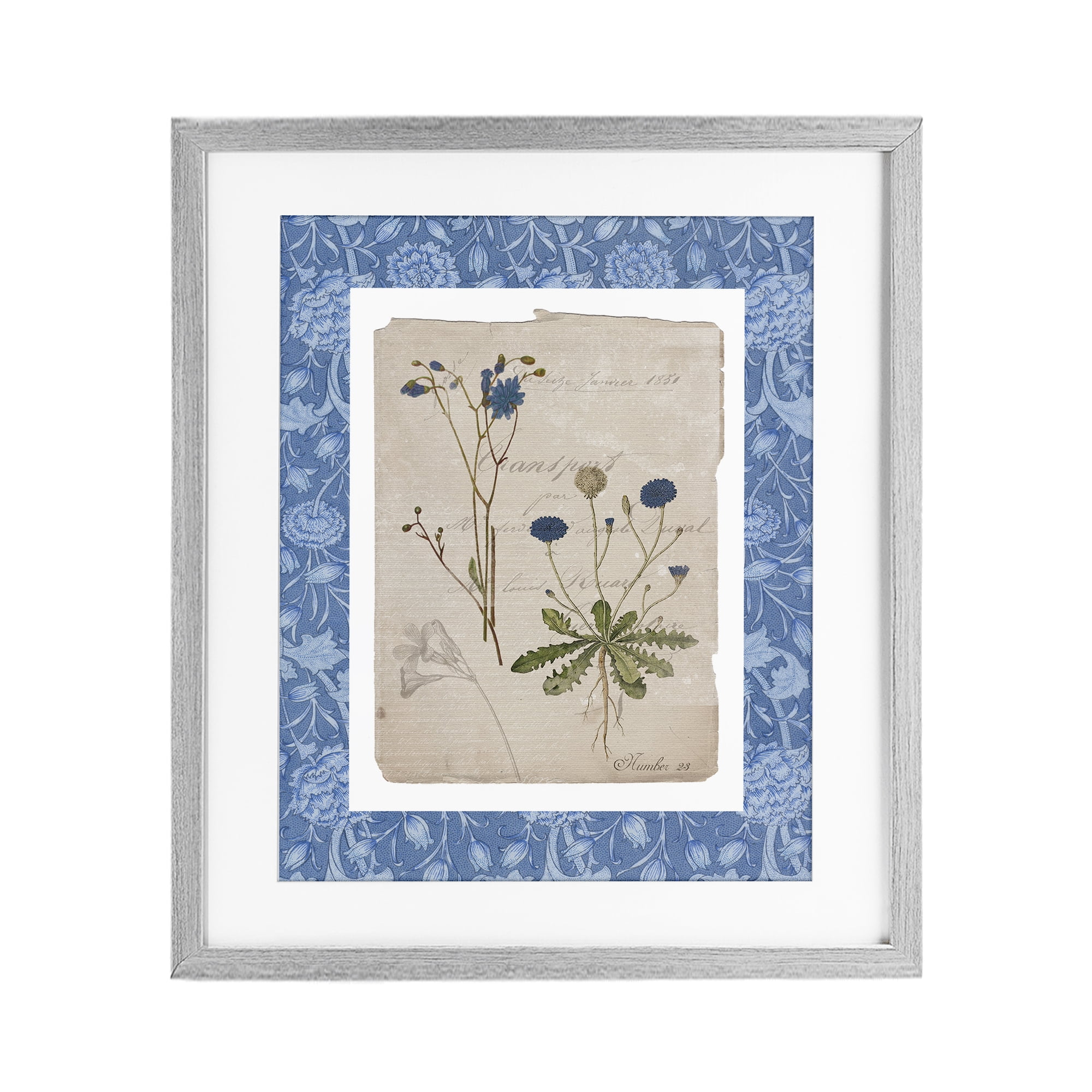 Stupell Industries Blue Antique Herbs Gray Framed Print Under Glass, design by Livi Finn