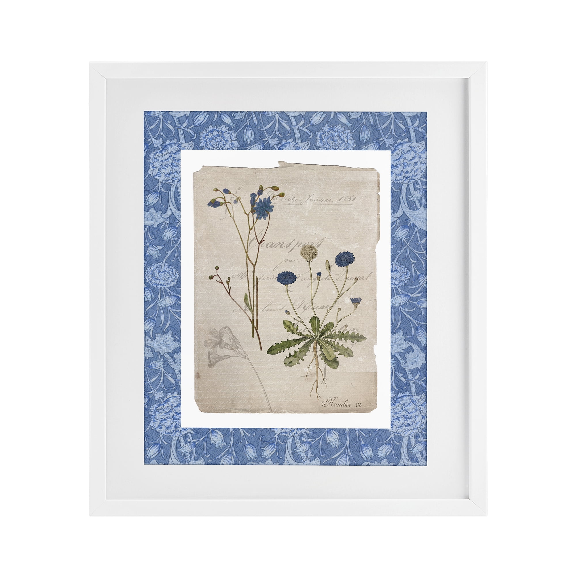 Stupell Industries Blue Antique Herbs White Framed Print Under Glass, design by Livi Finn