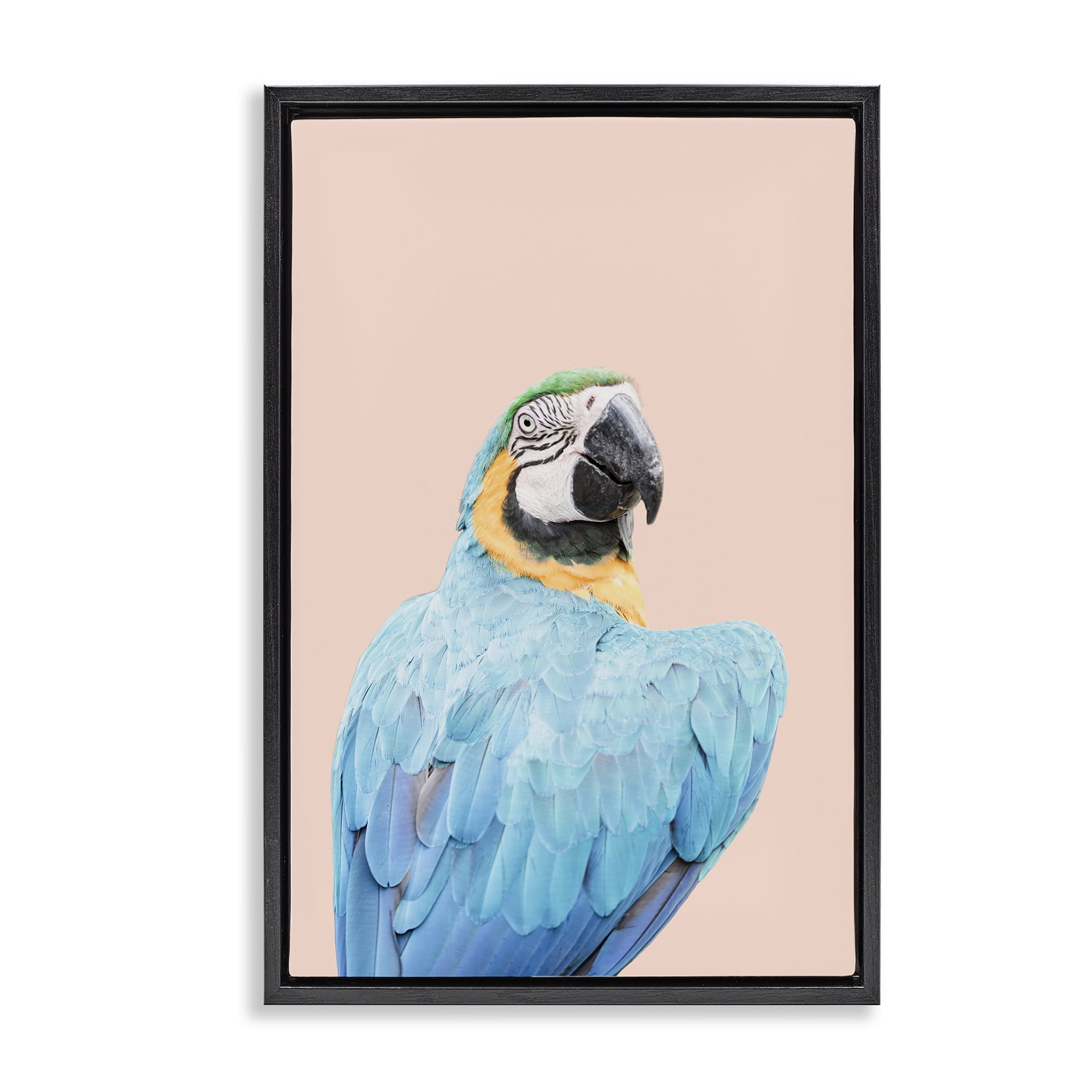 Stupell Industries Blue Ara Macaw Animals Painting Black Floater Framed Canvas Art Print Wall Art, 21 x 31