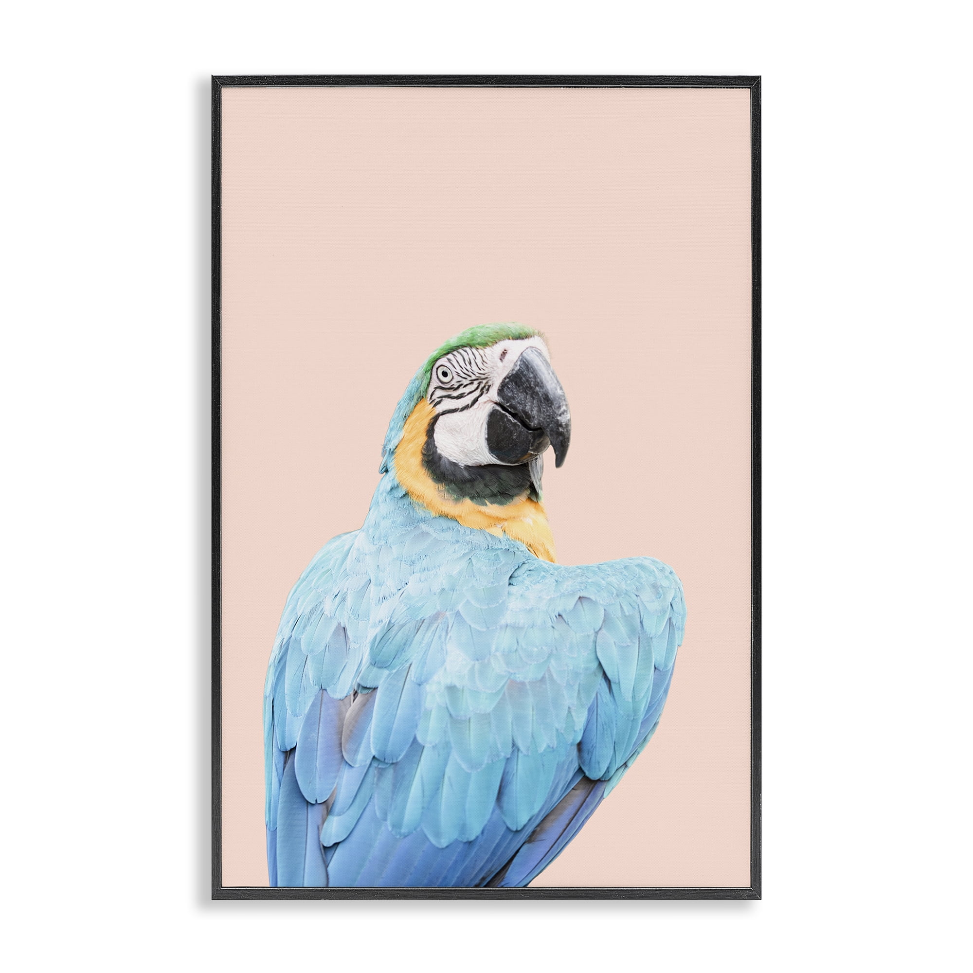 Stupell Industries Blue Ara Macaw Animals Painting Black Framed Art Print Wall Art, 16 x 24