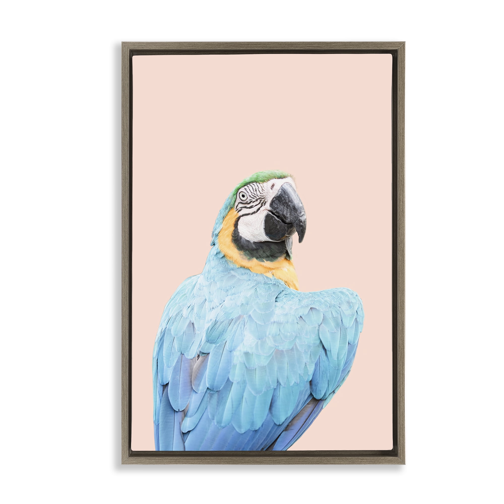 Stupell Industries Blue Ara Macaw Animals Painting Brown Floater Framed Canvas Art Print Wall Art, 17 x 25