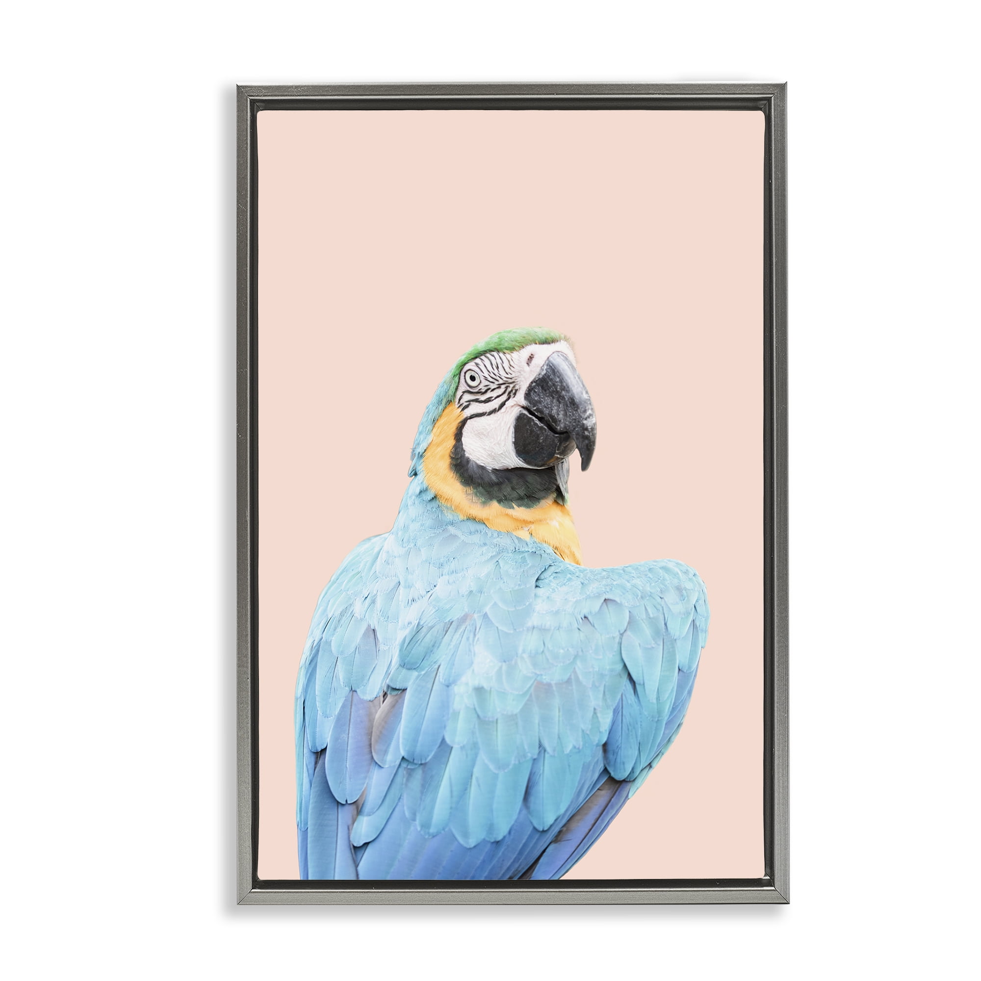 Stupell Industries Blue Ara Macaw Animals Painting Gray Floater Framed Canvas Art Print Wall Art, 21 x 31