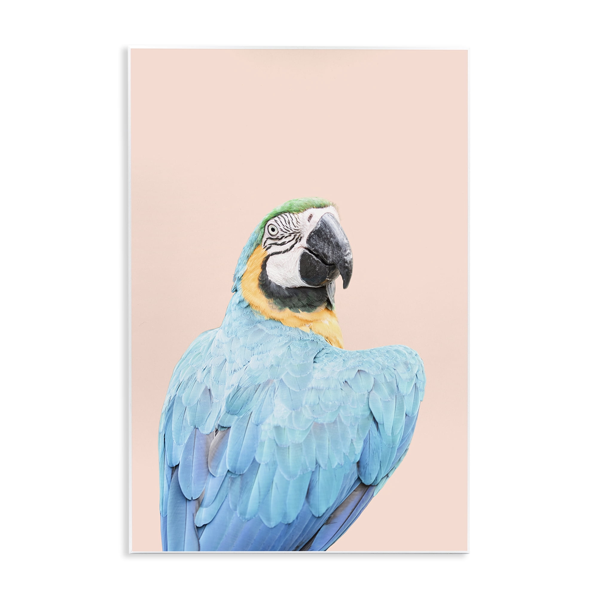 Stupell Industries Blue Ara Macaw Animals Painting Unframed Art Print Wall Art, 13 x 19