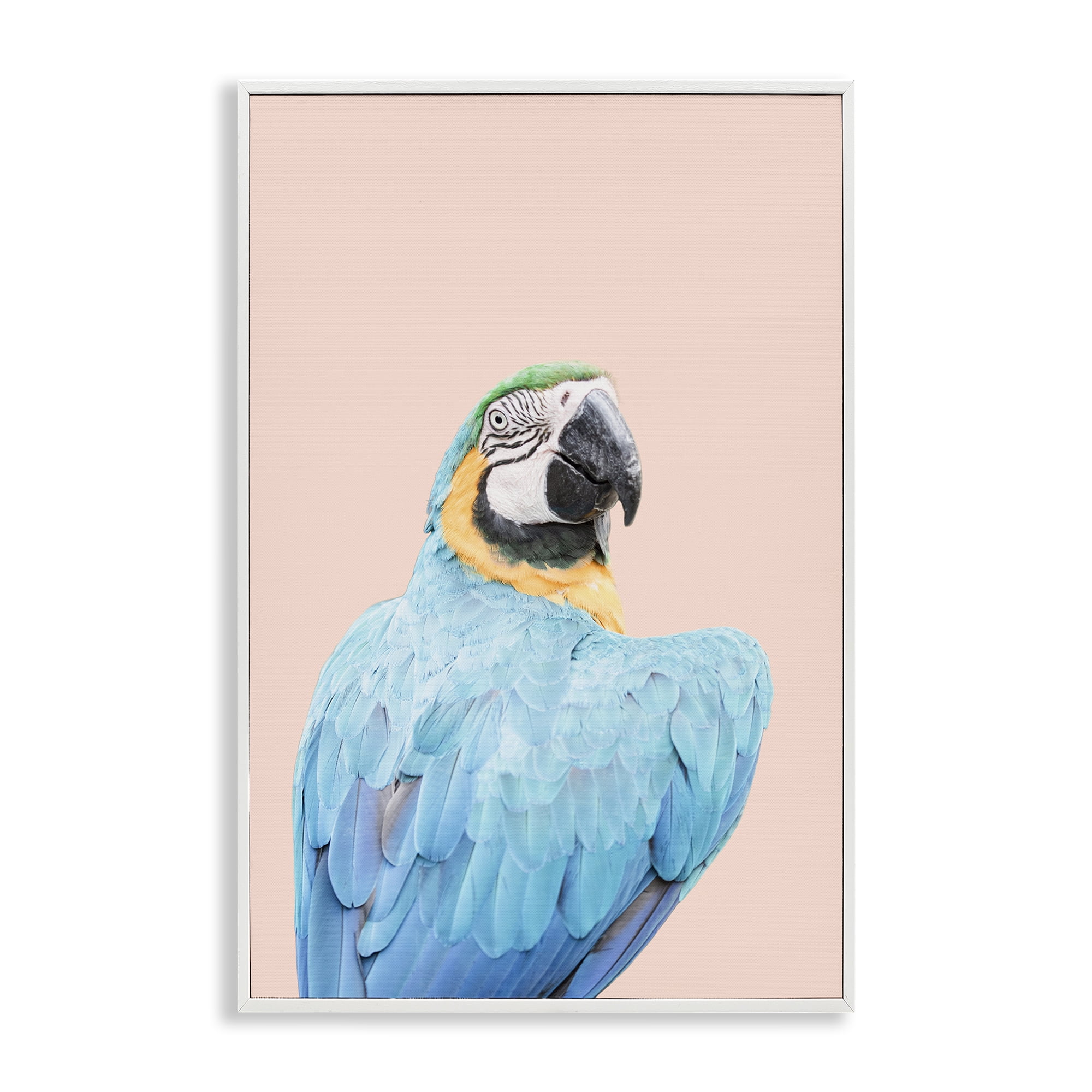 Stupell Industries Blue Ara Macaw Animals Painting White Framed Art Print Wall Art, 20 x 30