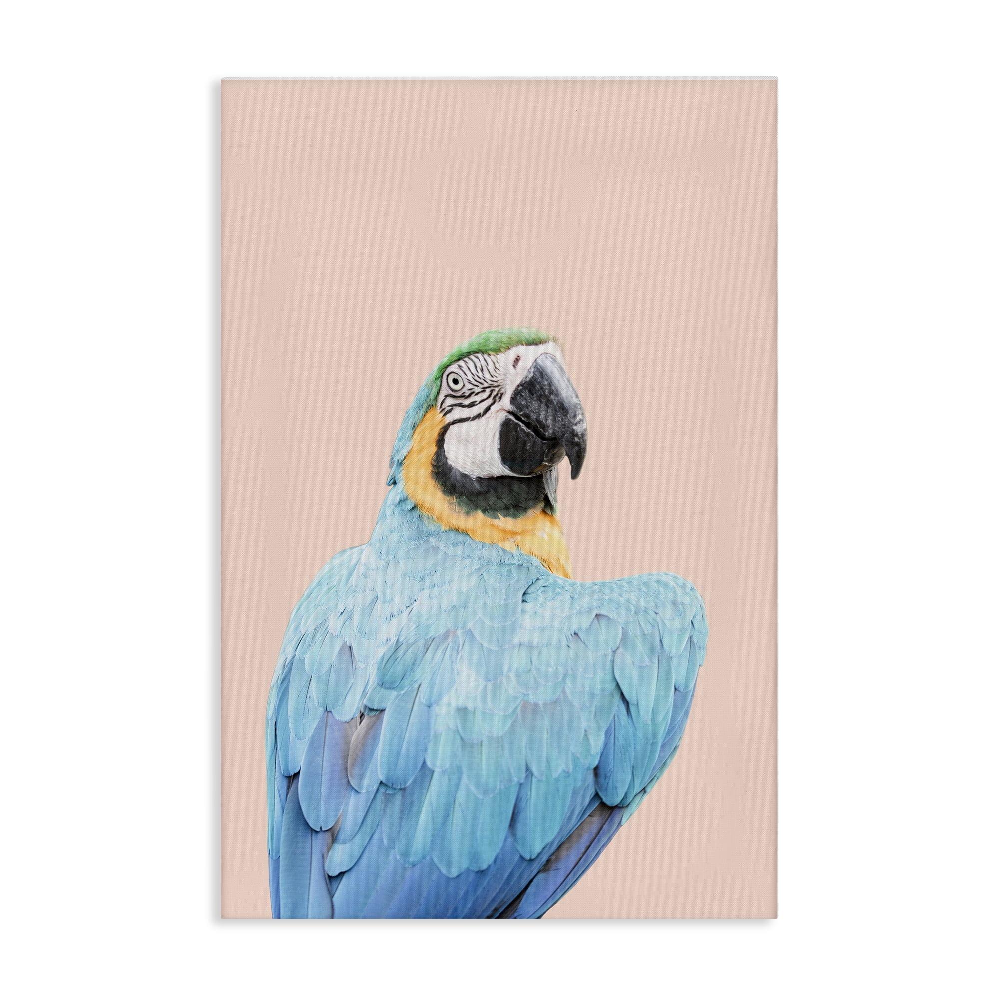 Stupell Industries Blue Ara Macaw Animals Painting Wrapped Canvas Art Print Wall Art, 30 x 45