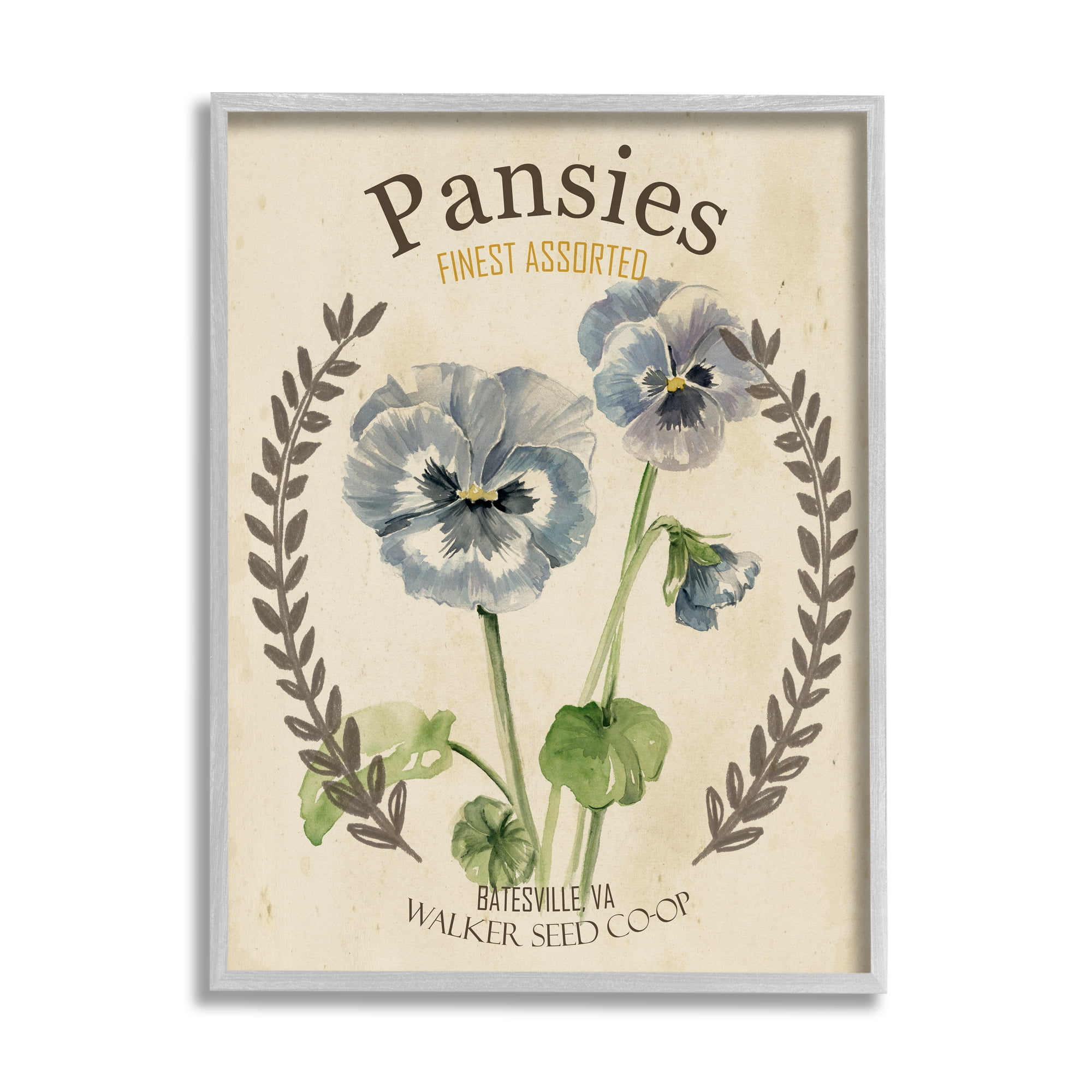 Stupell Industries Blue Assorted Pansies Vintage Floral Seed Packet, 16 x 20, Design by Studio W