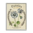 thumbnail image 1 of Stupell Industries Blue Assorted Pansies Vintage Floral Seed Packet, 24 x 30, Design by Studio W, 1 of 7