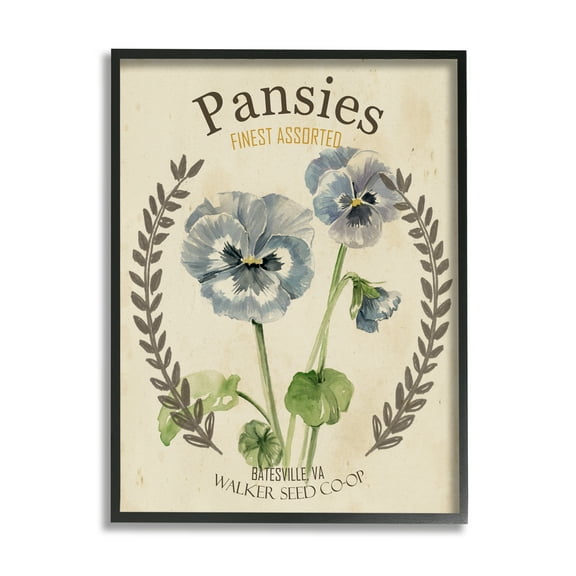 Stupell Industries Blue Assorted Pansies Vintage Floral Seed Packet Botanical & Floral Painting Black Framed Art Print Wall Art, 16 x 20