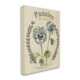 thumbnail image 1 of Stupell Industries Blue Assorted Pansies Vintage Floral Seed Packet Graphic Art Gallery-Wrapped Canvas Print Wall Art, 30x40, by Studio W, 1 of 5