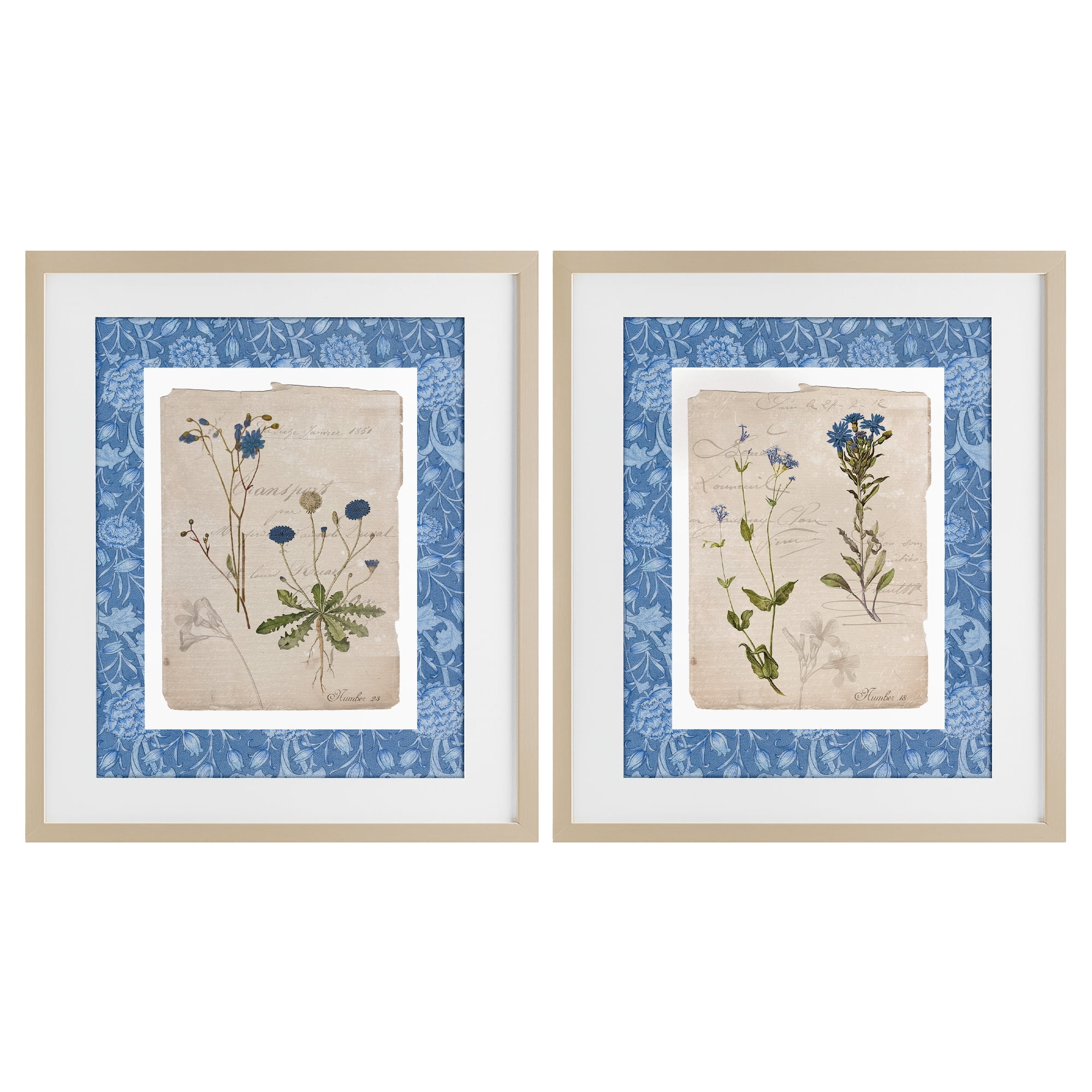 Stupell Industries Blue Botanical Herbs 2 Piece Birch Framed Print Under Glass Set, design by Livi Finn