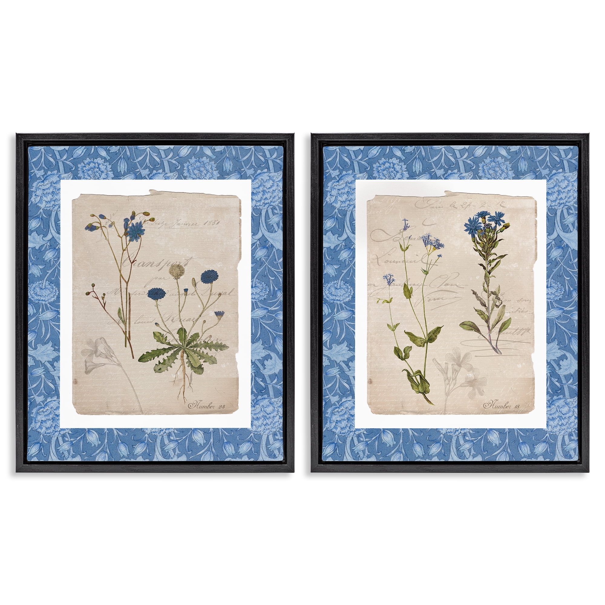 Stupell Industries Blue Botanical Herbs 2 Piece Black Framed Floater Canvas Set, design by Livi Finn