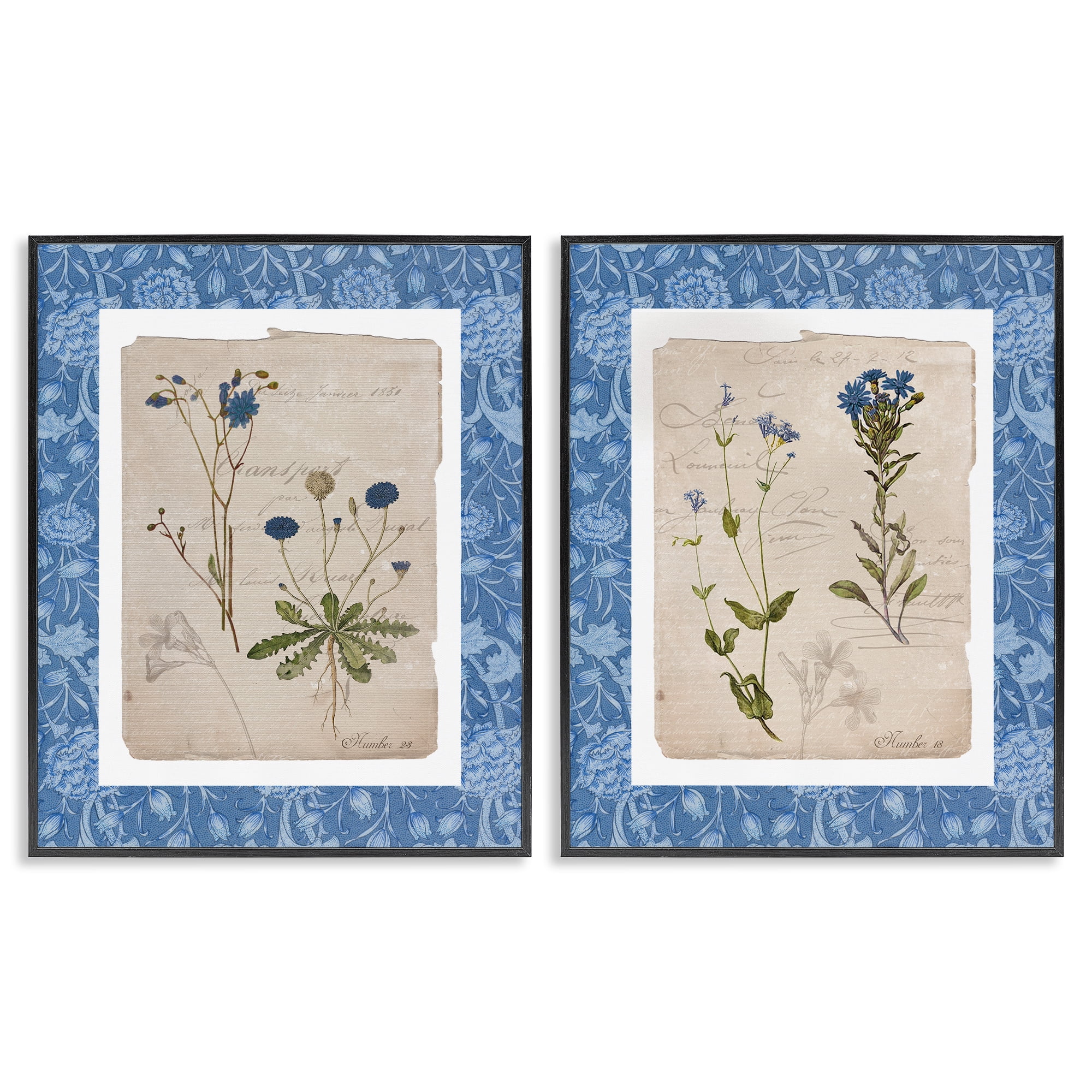 Stupell Industries Blue Botanical Herbs 2 Piece Black Framed Giclee Art Set, design by Livi Finn