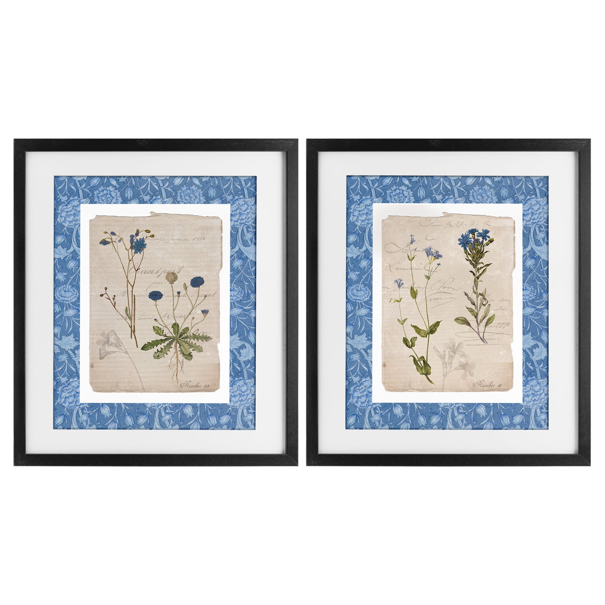 Stupell Industries Blue Botanical Herbs 2 Piece Black Framed Print Under Glass Set, design by Livi Finn