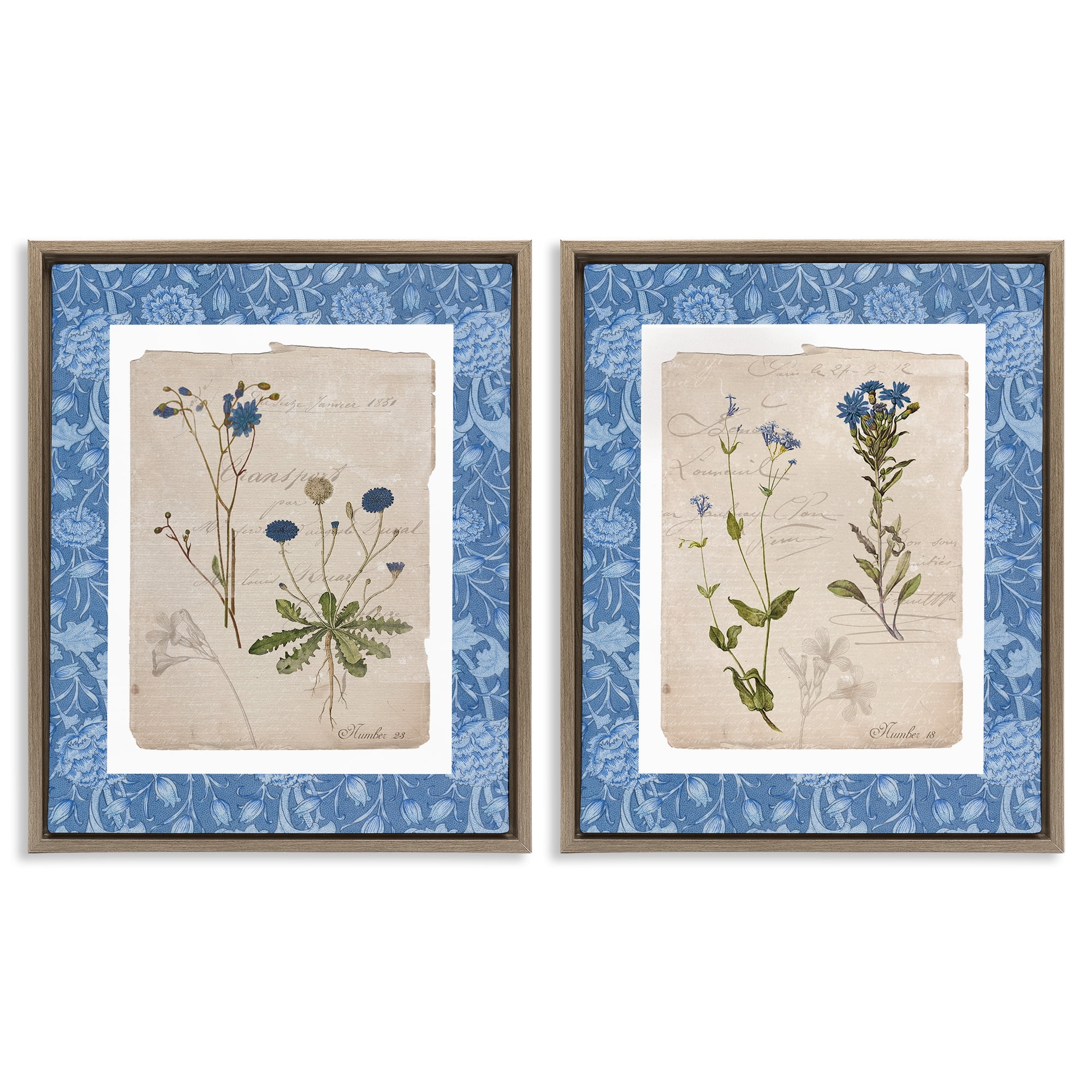 Stupell Industries Blue Botanical Herbs 2 Piece Brown Framed Floater Canvas Set, design by Livi Finn