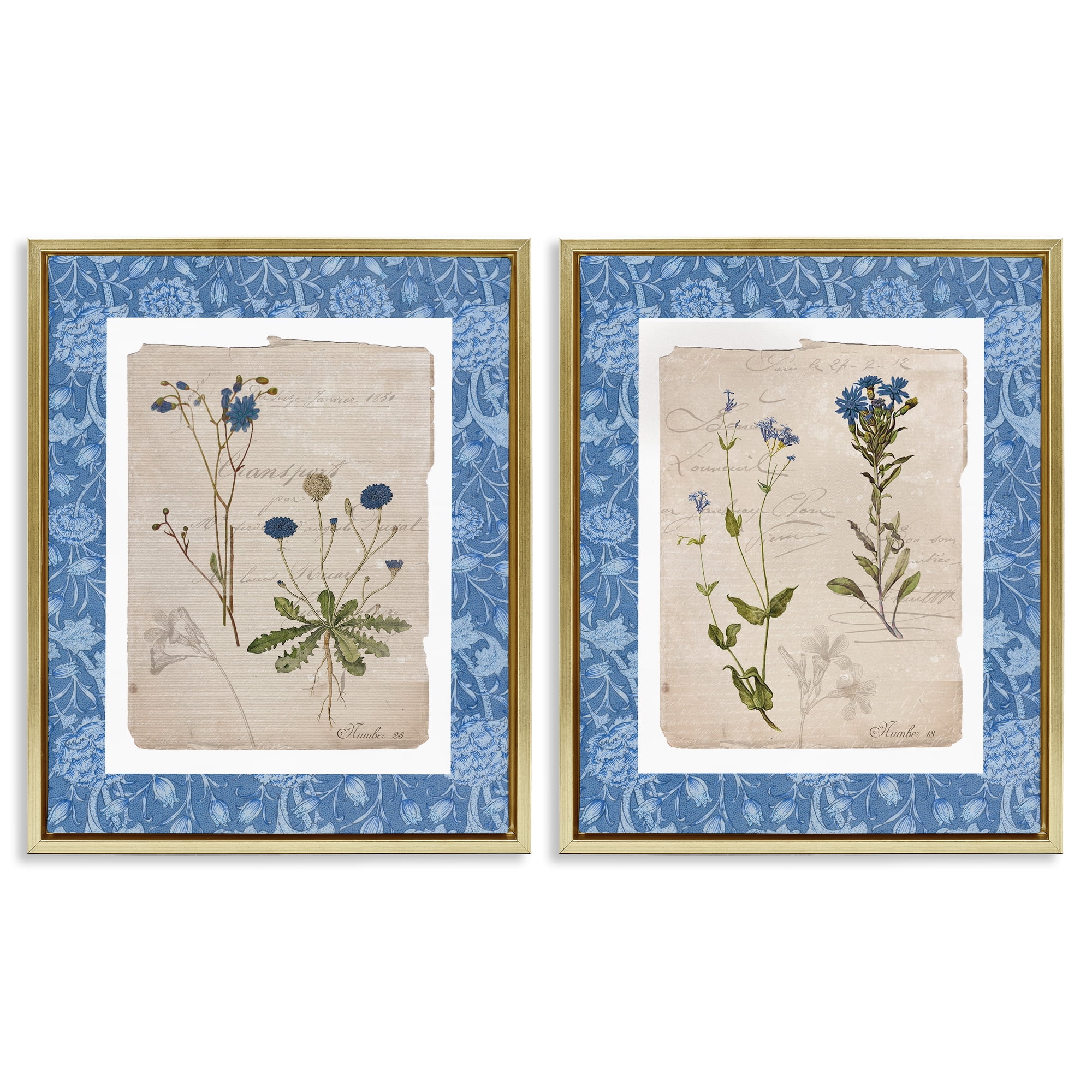 Stupell Industries Blue Botanical Herbs 2 Piece Gold Framed Floater Canvas Set, design by Livi Finn