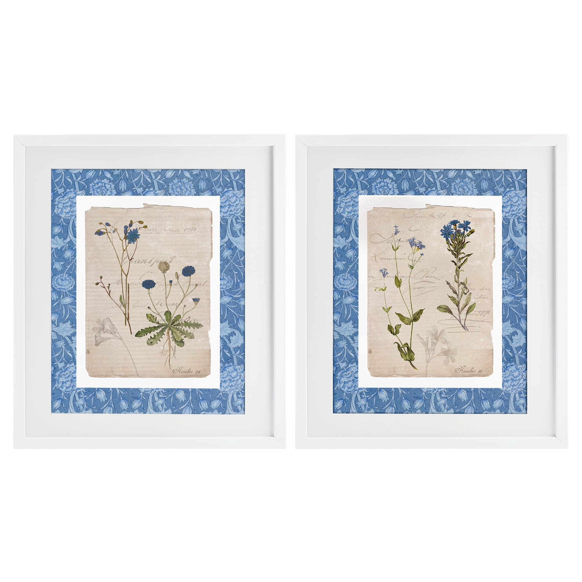 Stupell Industries Blue Botanical Herbs 2 Piece White Framed Print Under Glass Set, design by Livi Finn