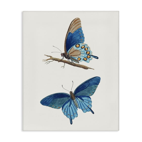 Stupell Industries Blue Butterflies Pair Canvas Wall Art design by Arlington Prints, 48 x 36