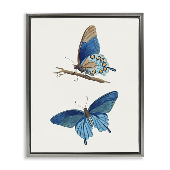 Stupell Industries Blue Butterflies Pair Gray Framed Floater Canvas Wall Art design by Arlington Prints, 21 x 17