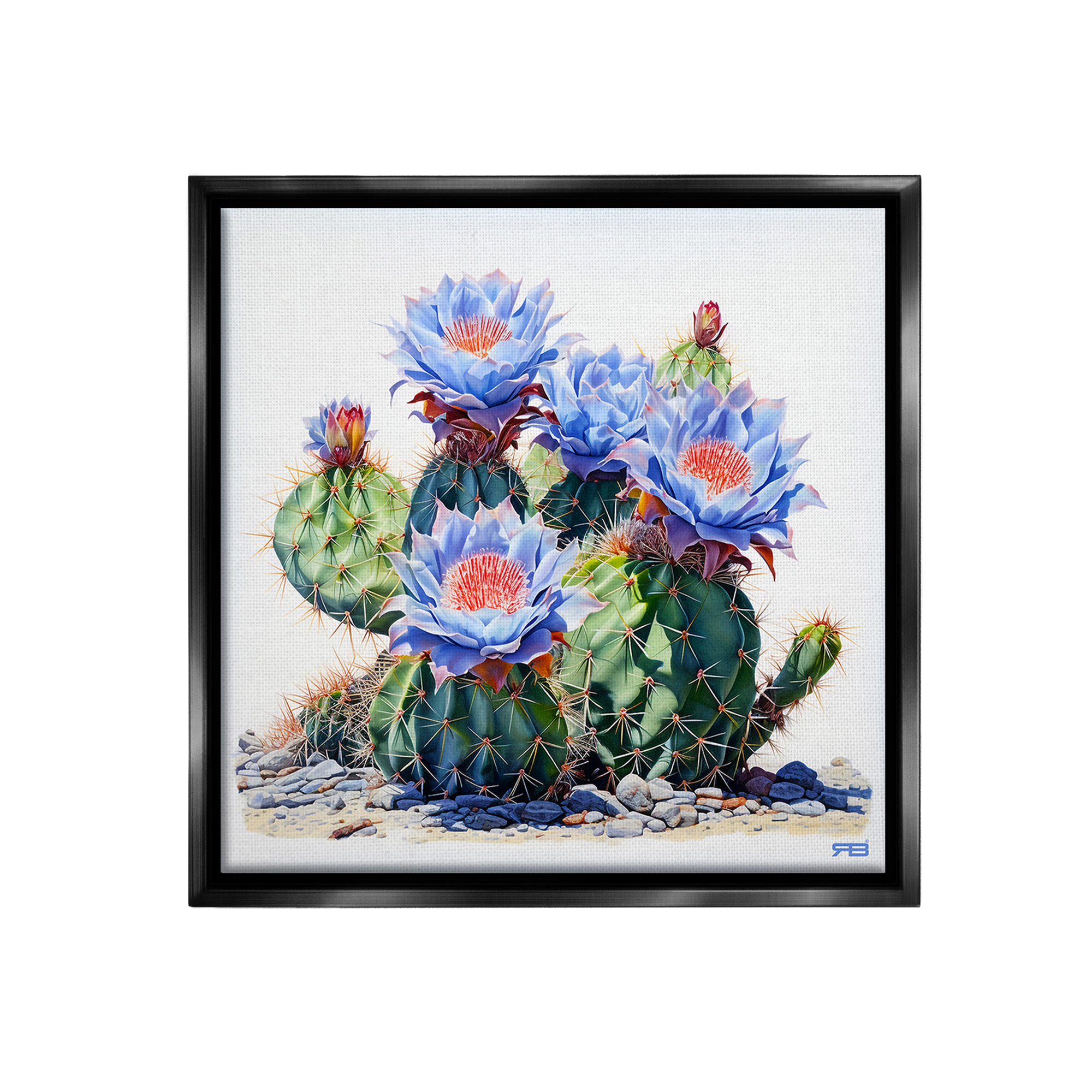 Stupell Industries Blue Cactus Blossoms Botanical & Floral Painting Black Floater Framed Canvas Art Print Wall Art, 25 x 25