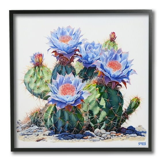 Stupell Industries Blue Cactus Blossoms Botanical & Floral Painting Black Framed Art Print Wall Art, 17 x 17