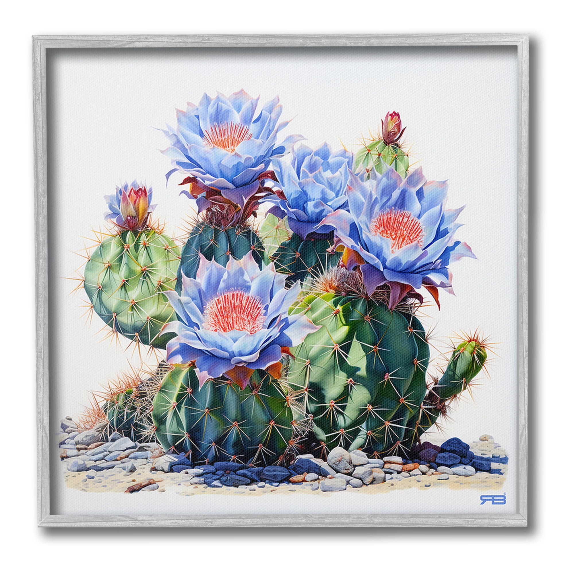 Stupell Industries Blue Cactus Blossoms Botanical & Floral Painting Gray Framed Art Print Wall Art, 24 x 24