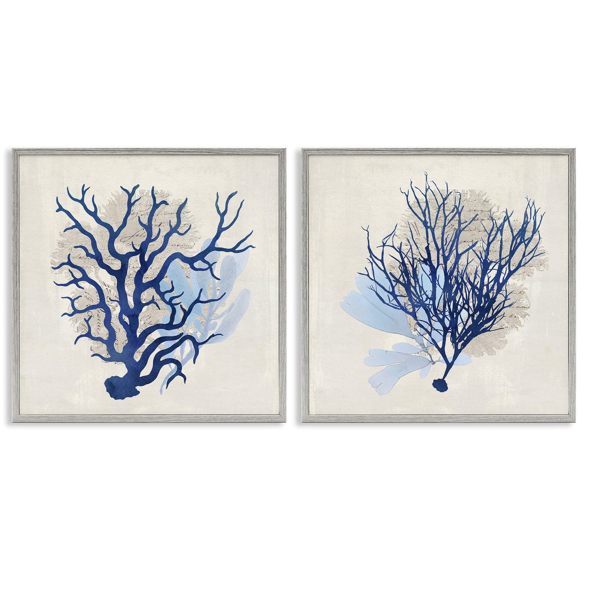 Stupell Industries Blue Coral Branches Nautical & Beach Painting Gray Framed Art Print Wall Art, 24 x 24, Set of 2