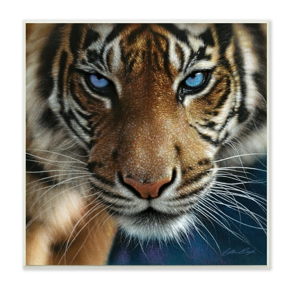 Stupell Industries Blue Eyed Beautiful Fierce Tiger Close Up Detailed Portrait , 12 x 12, Design by Collin Bogle