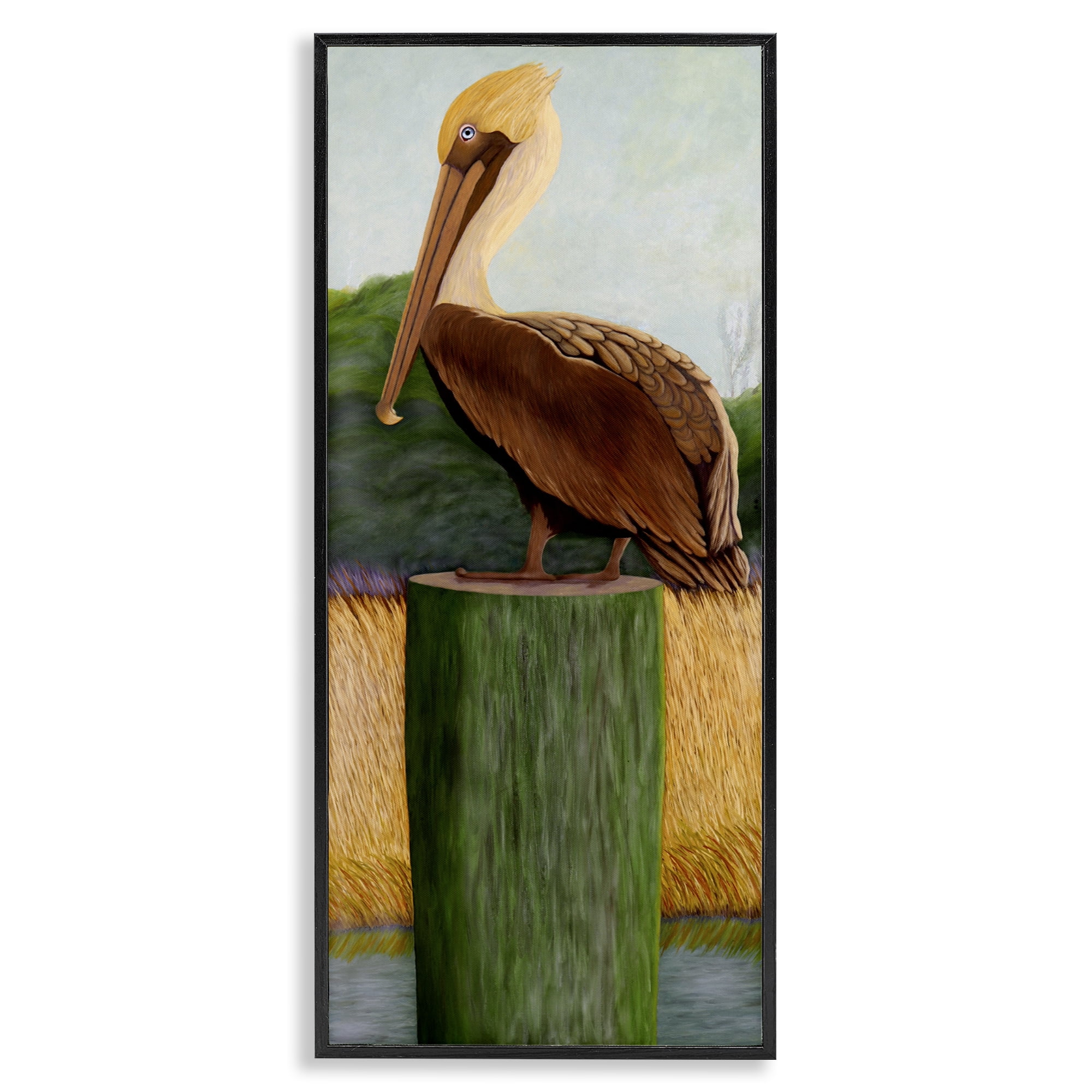 Stupell Industries Blue Eyed Pelican Black Framed Giclee Art, design by Barbara Fallenbaum