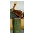thumbnail image 1 of Stupell Industries Farmhouse Blue Eyed Pelican Canvas Art, 10 x 24, by Barbara Fallenbaum, 1 of 8