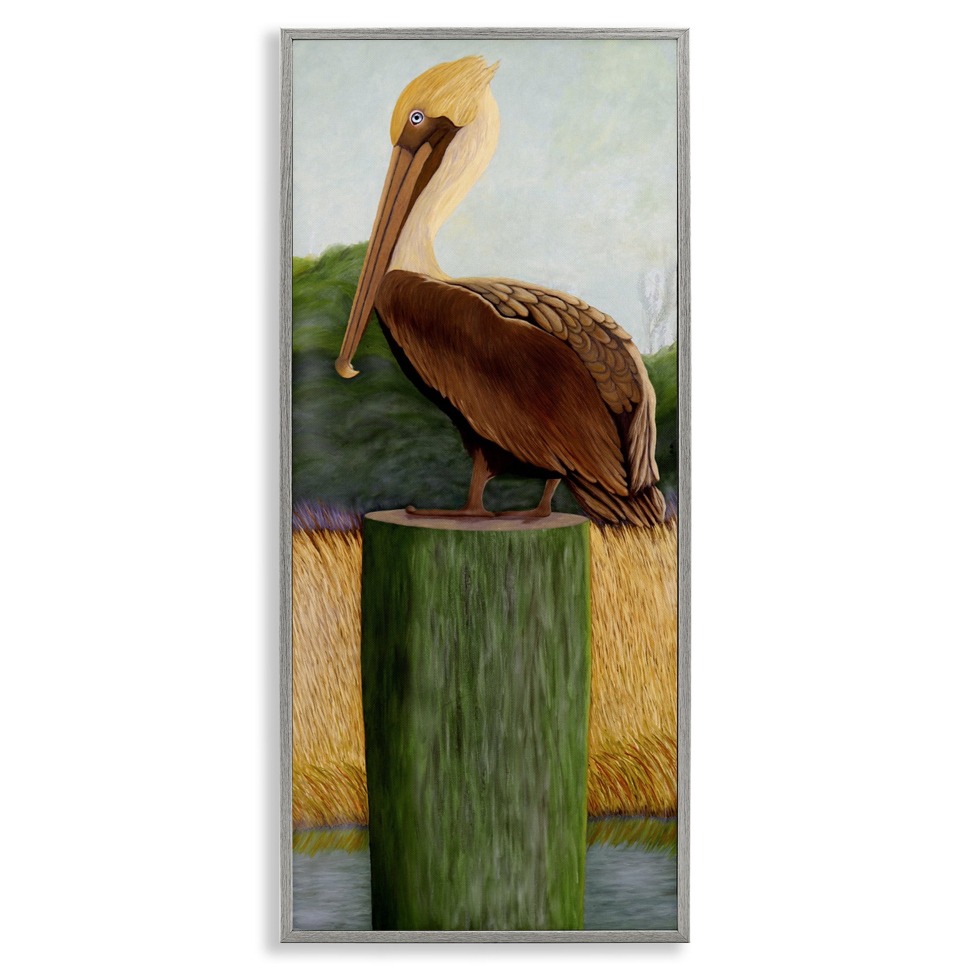 Stupell Industries Blue Eyed Pelican Gray Framed Giclee Art, design by Barbara Fallenbaum